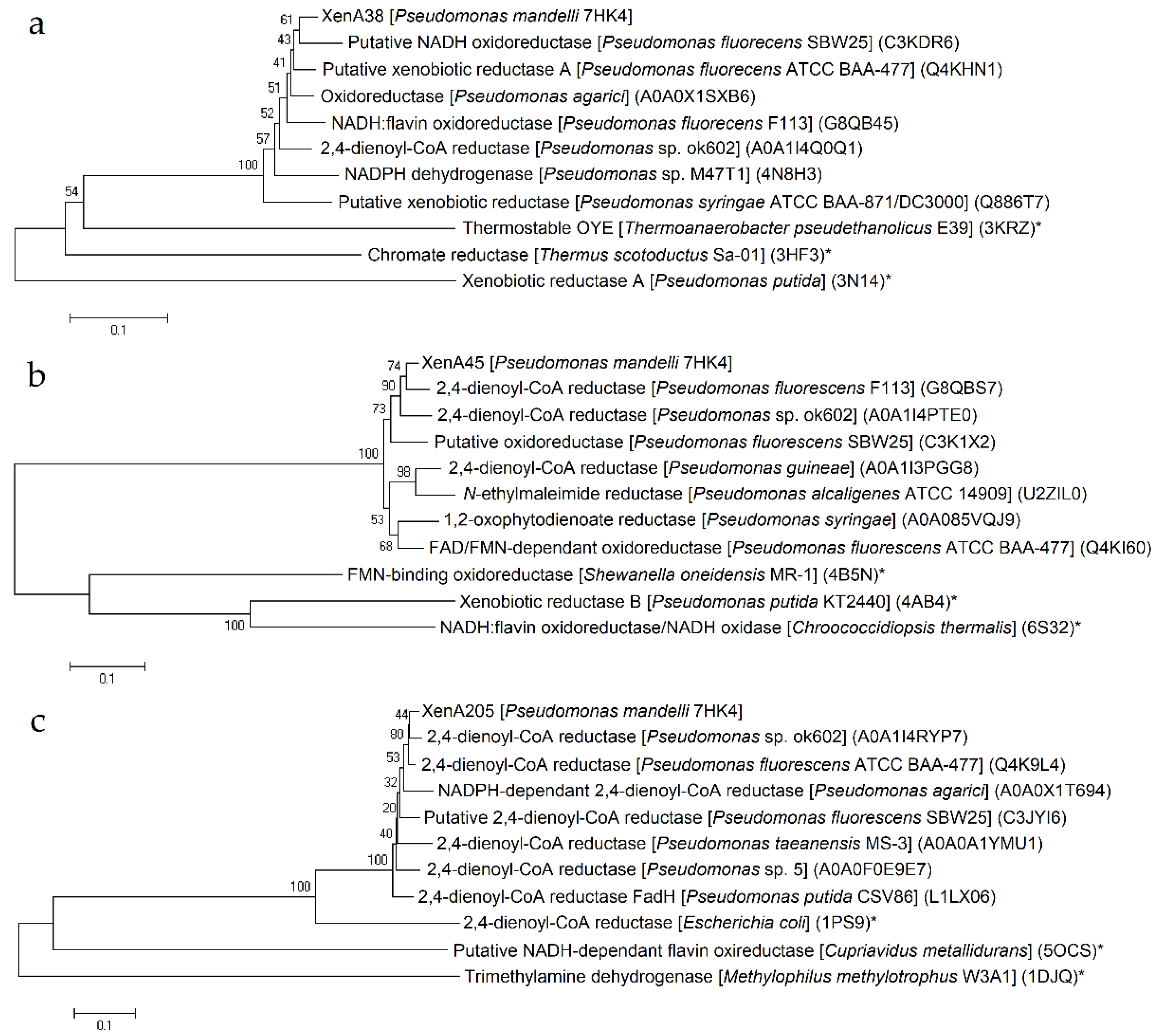 Ijms 22 01552 g001 Ijms 22 01552 g001