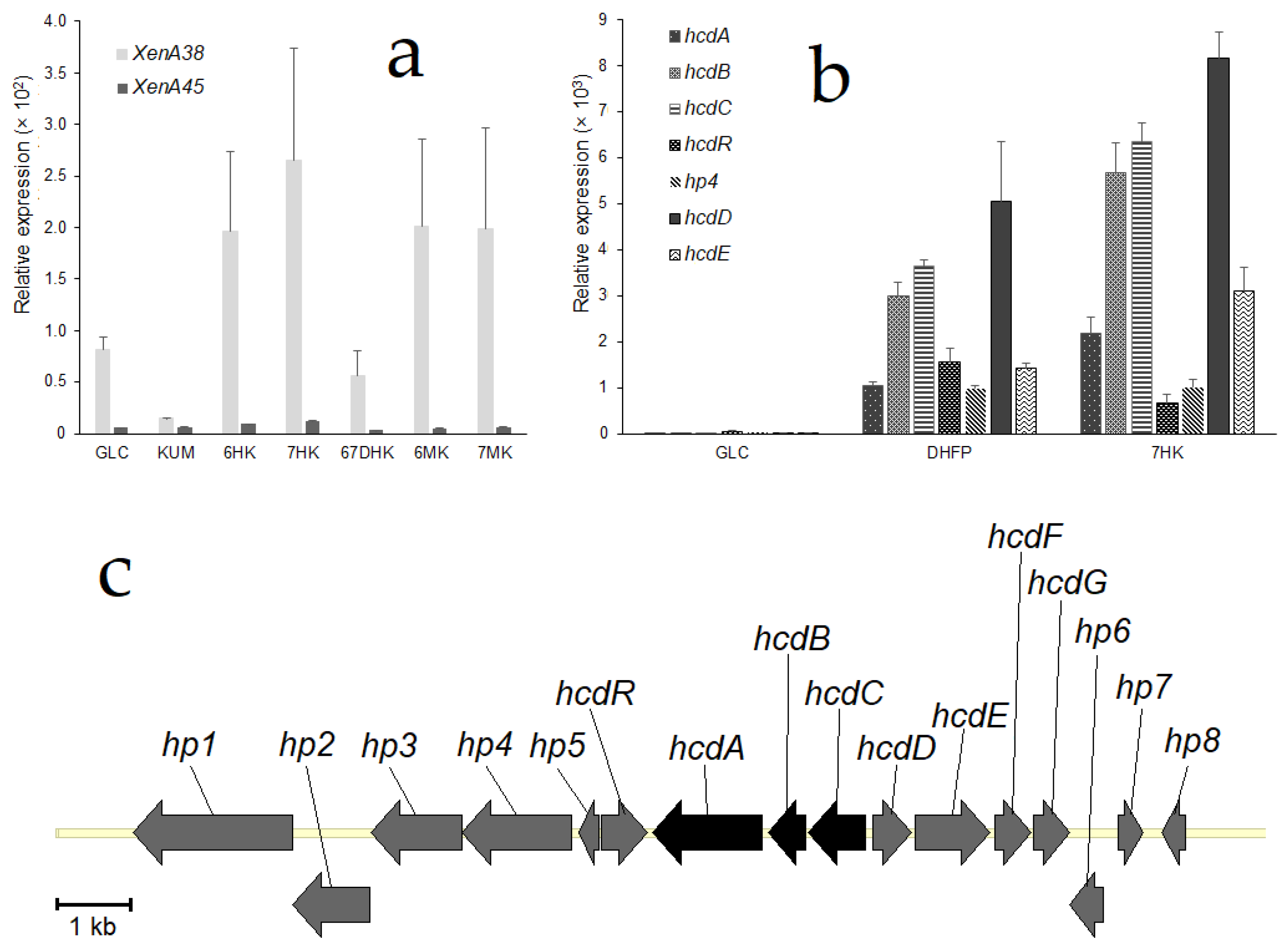 Ijms 22 01552 g003 Ijms 22 01552 g003