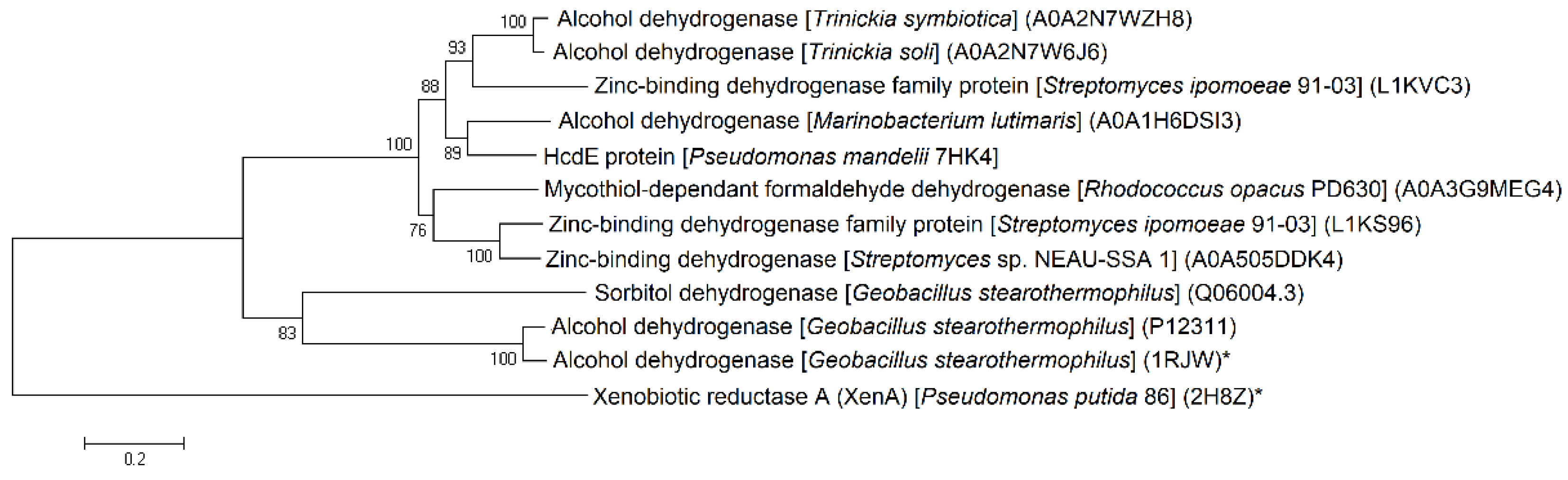 Ijms 22 01552 g005 Ijms 22 01552 g005