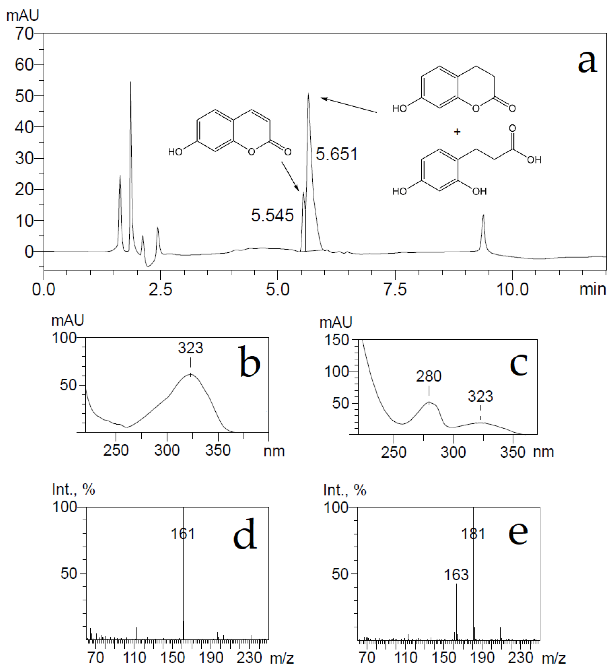 Ijms 22 01552 g006 Ijms 22 01552 g006