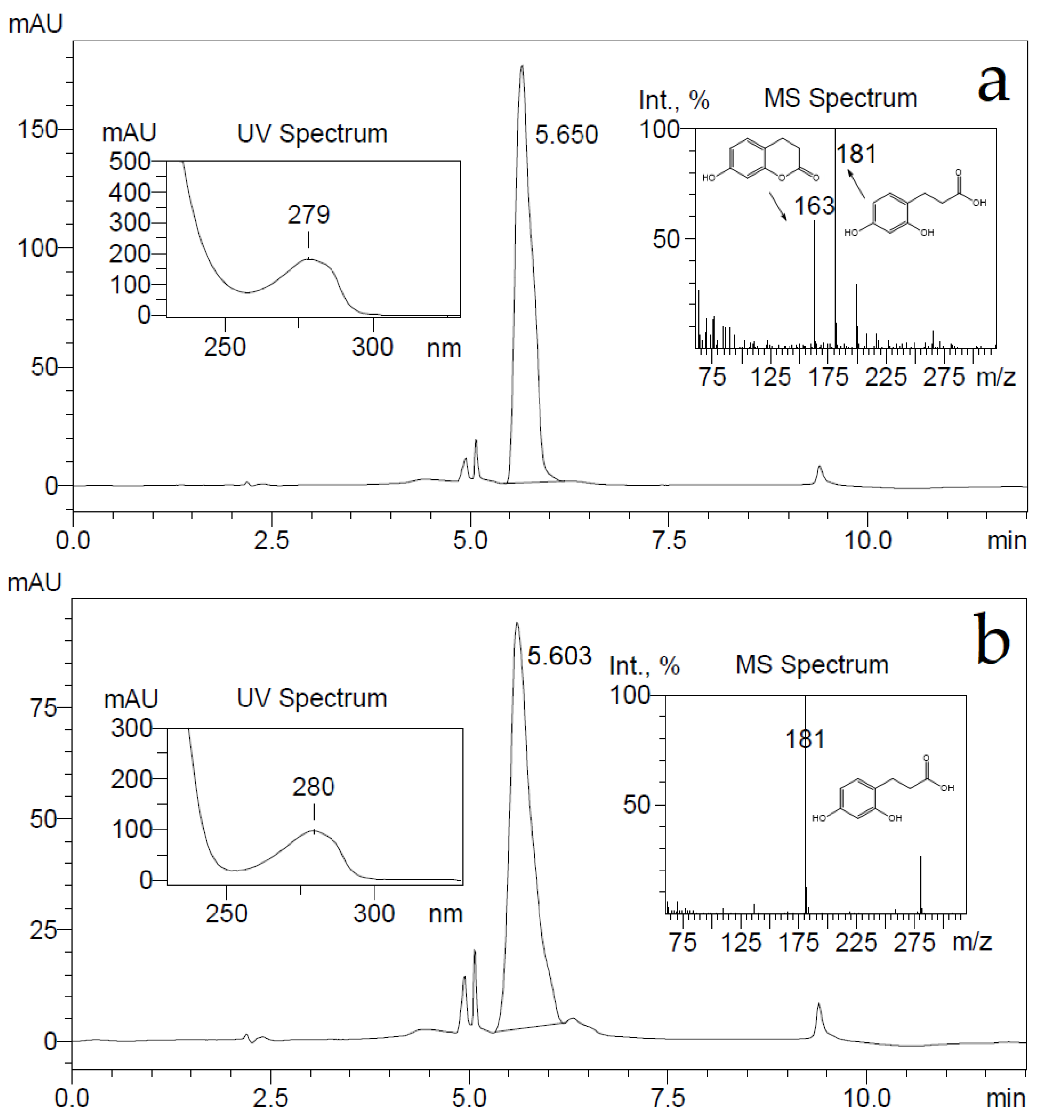 Ijms 22 01552 g007 Ijms 22 01552 g007