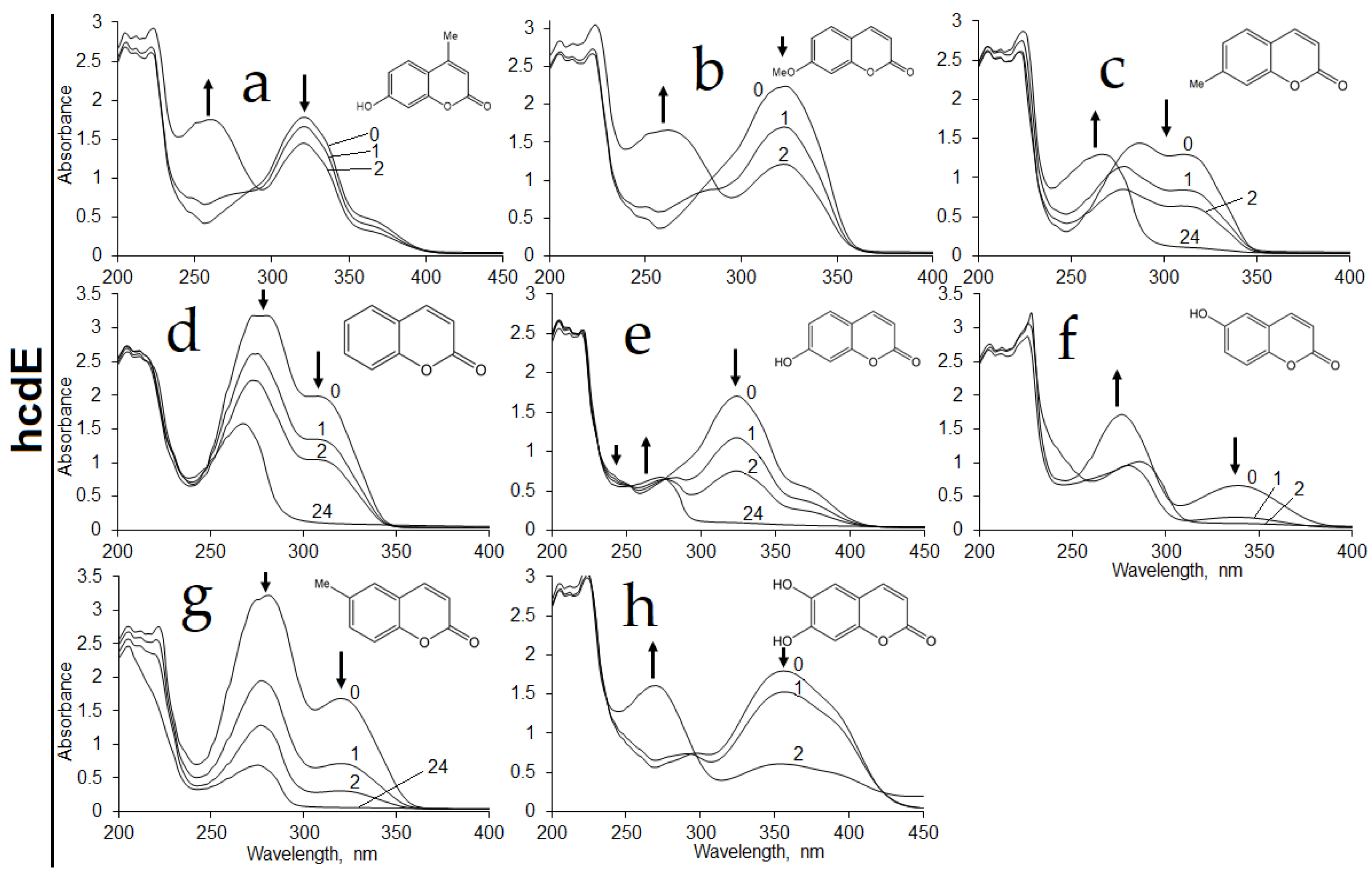 Ijms 22 01552 g008 Ijms 22 01552 g008