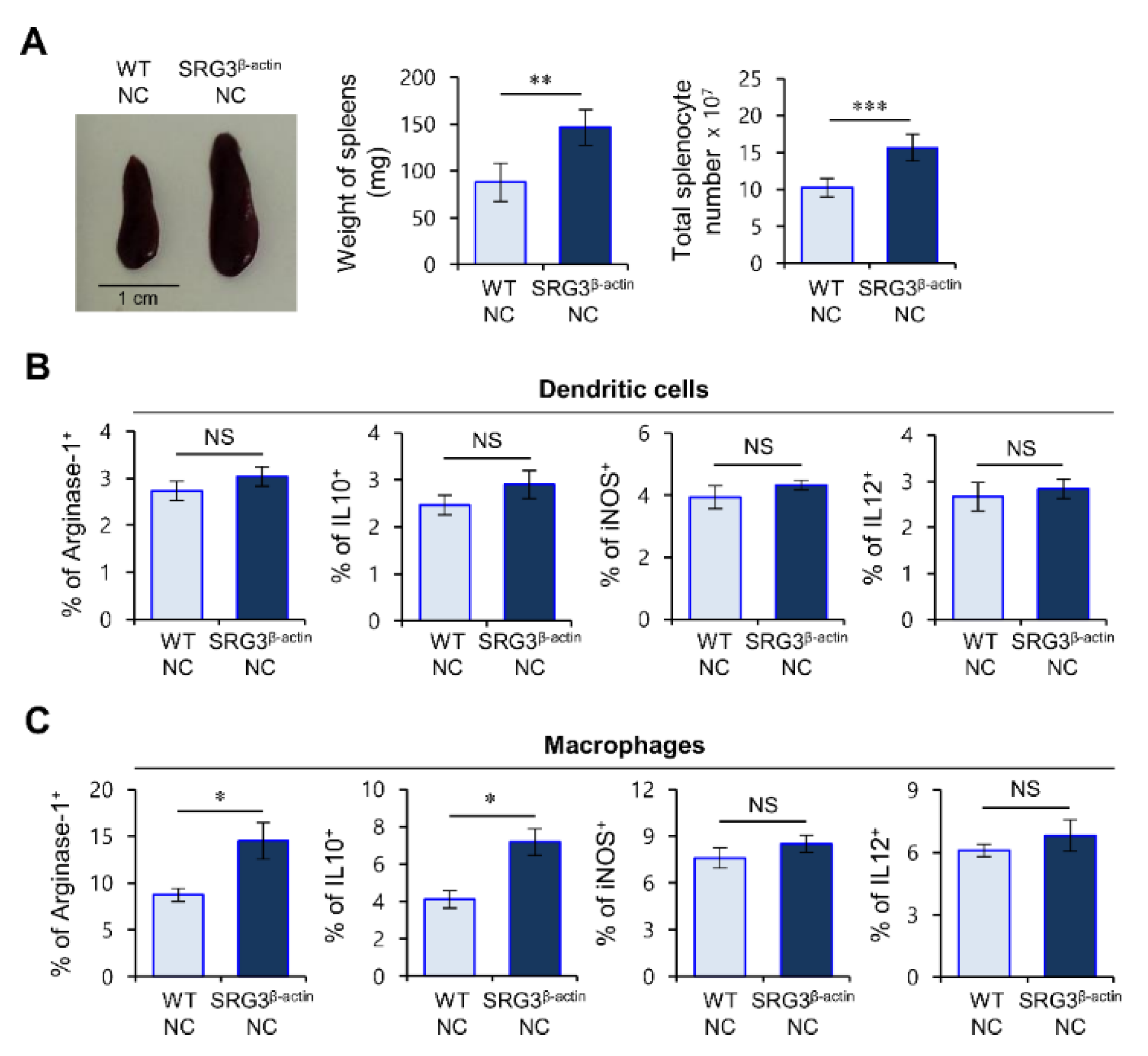 Ijms 22 01553 g002 Ijms 22 01553 g002