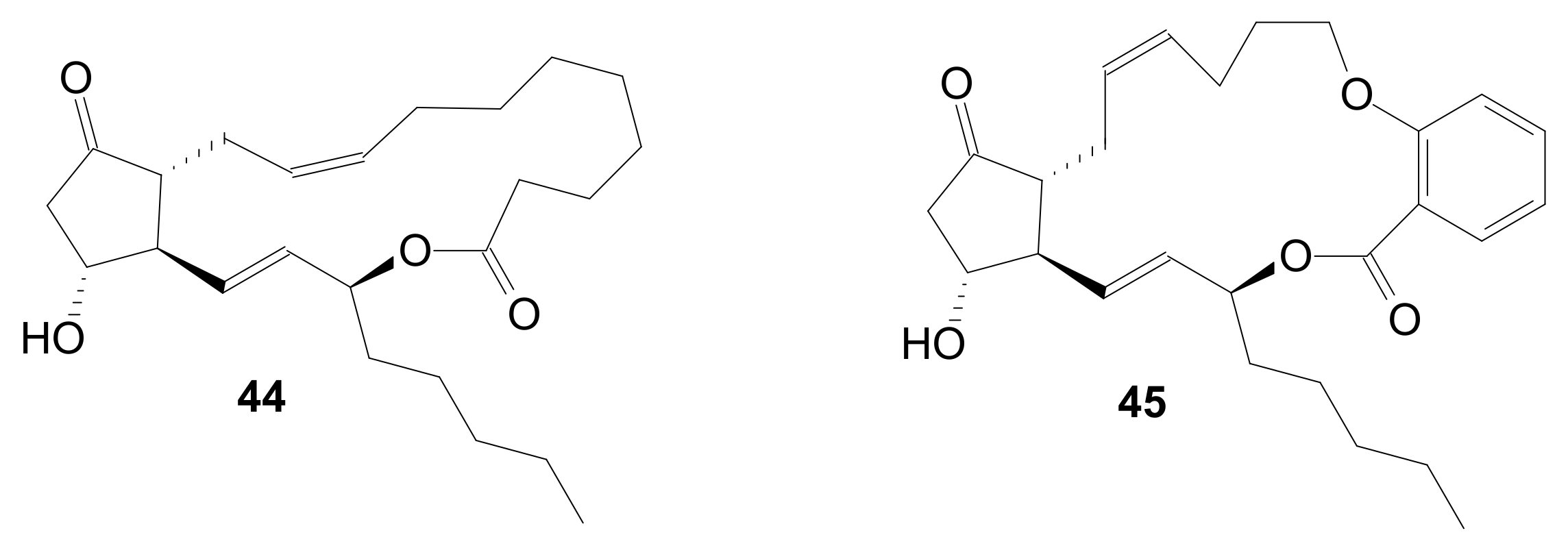 Ijms 22 01572 g005 Ijms 22 01572 g005