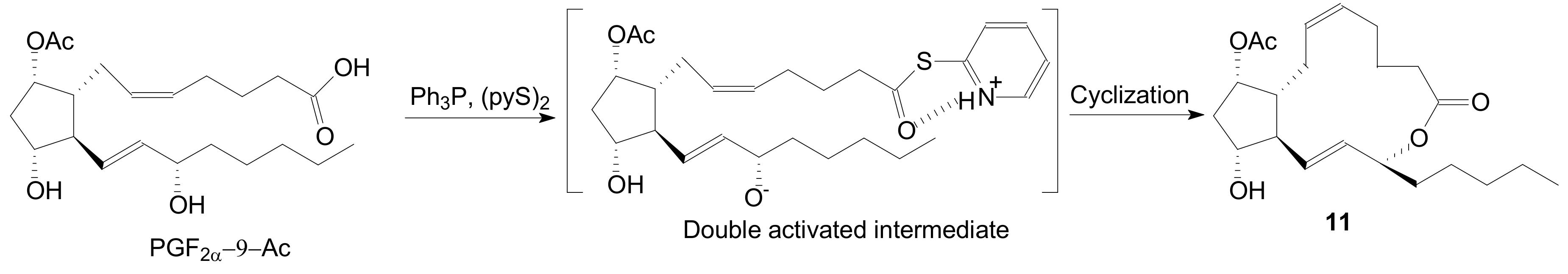 Ijms 22 01572 sch001 Ijms 22 01572 sch001