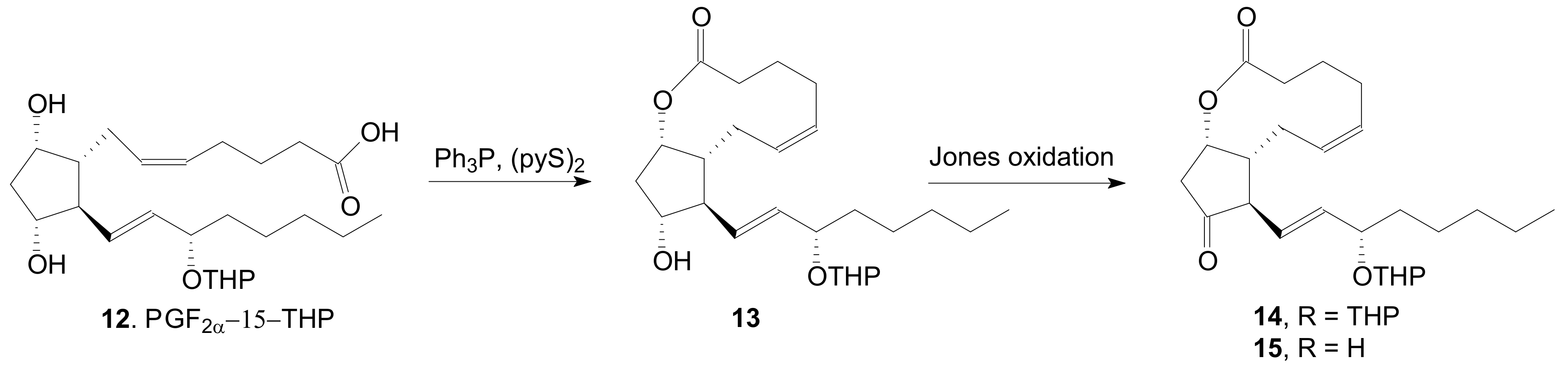Ijms 22 01572 sch002 Ijms 22 01572 sch002