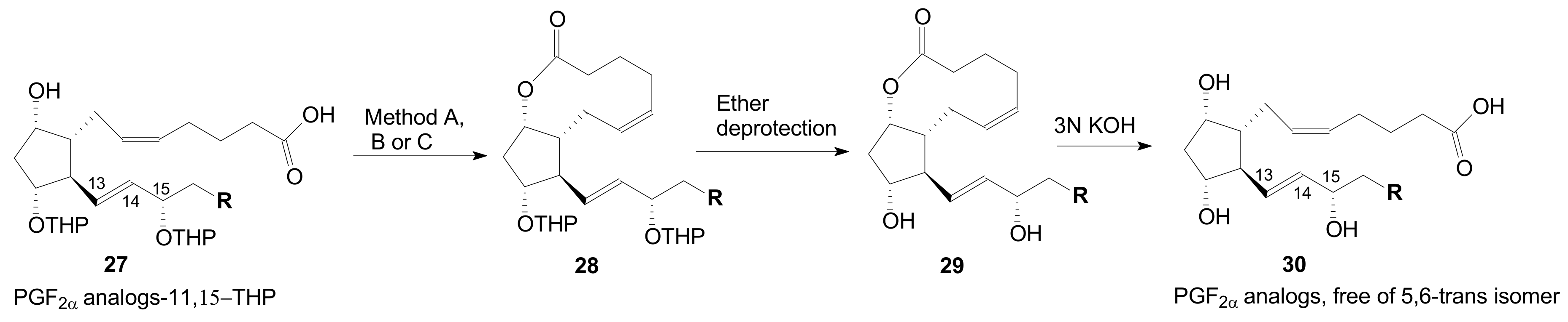 Ijms 22 01572 sch005 Ijms 22 01572 sch005