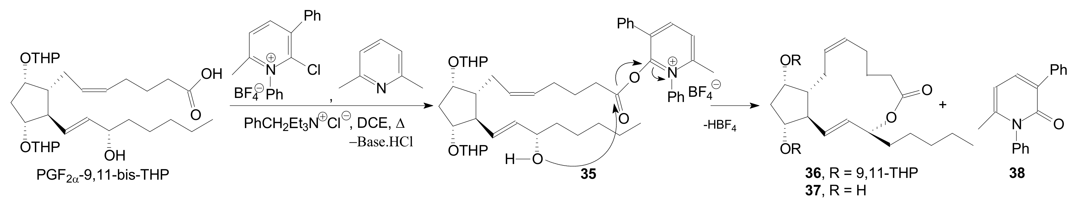 Ijms 22 01572 sch007 Ijms 22 01572 sch007