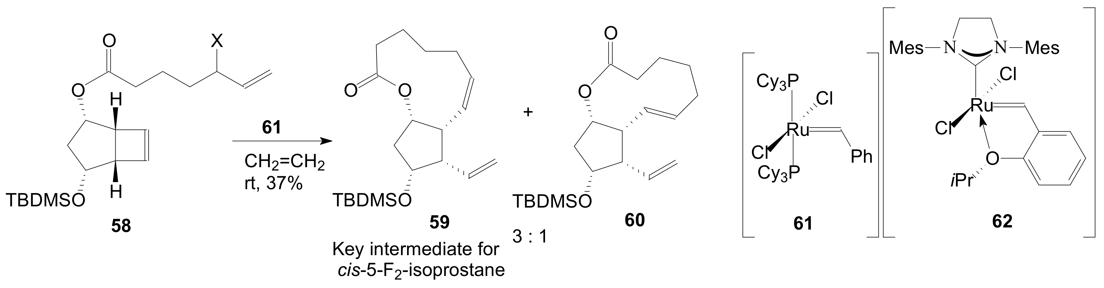 Ijms 22 01572 sch011 Ijms 22 01572 sch011