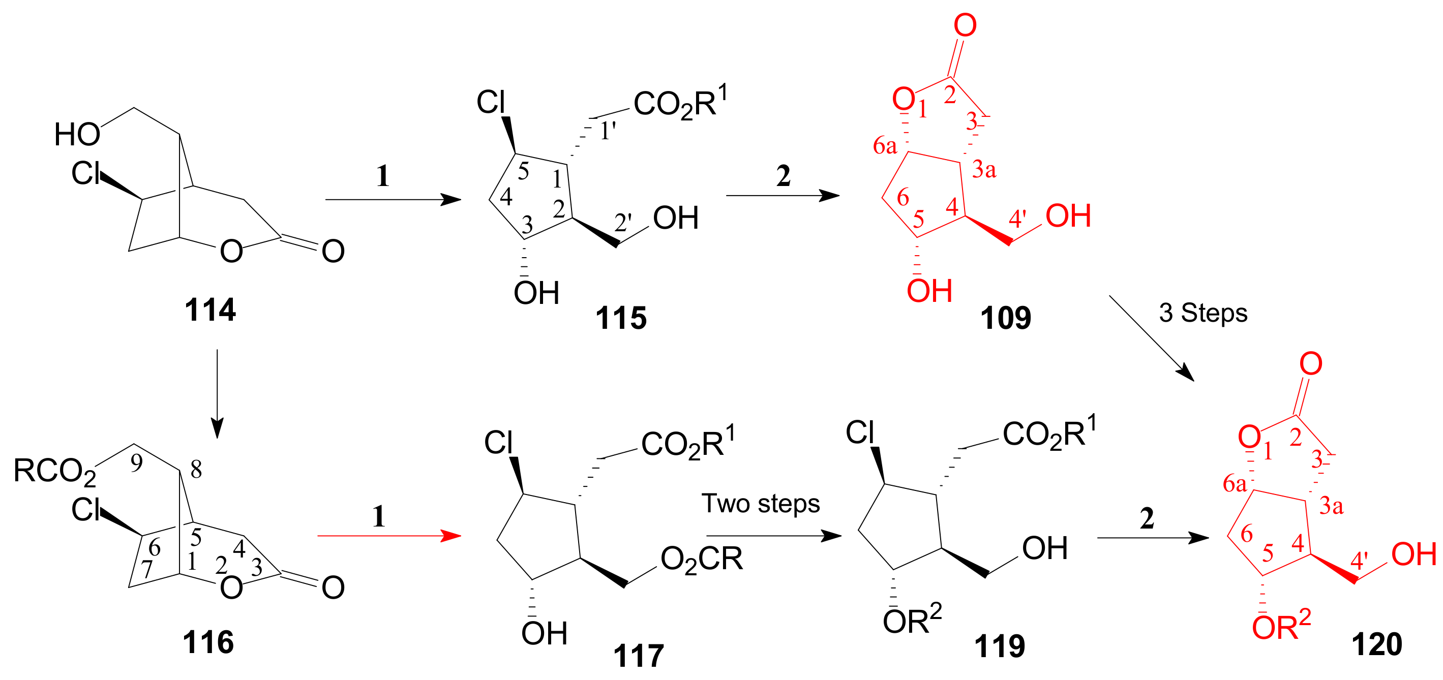 Ijms 22 01572 sch025 Ijms 22 01572 sch025