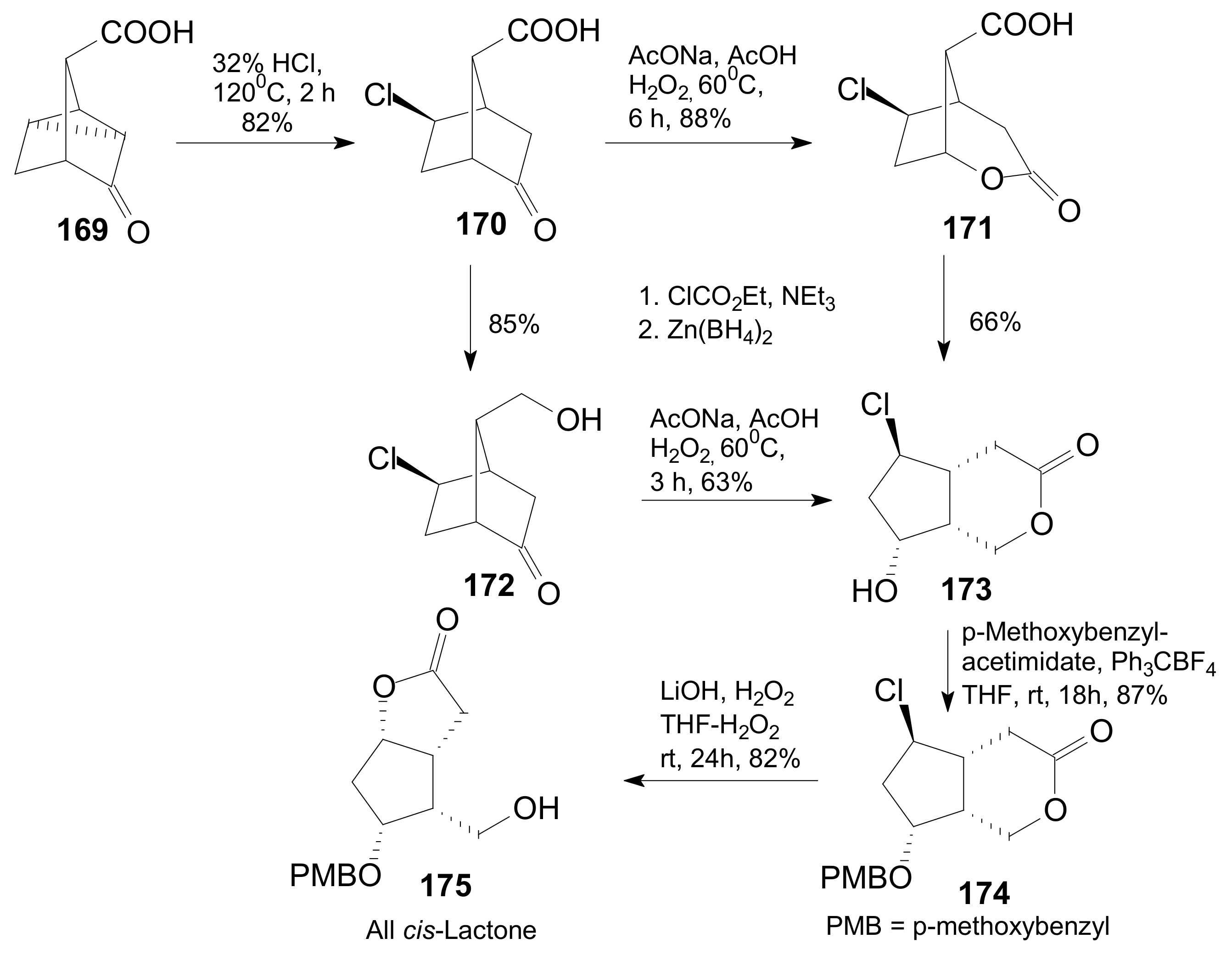 Ijms 22 01572 sch035 Ijms 22 01572 sch035