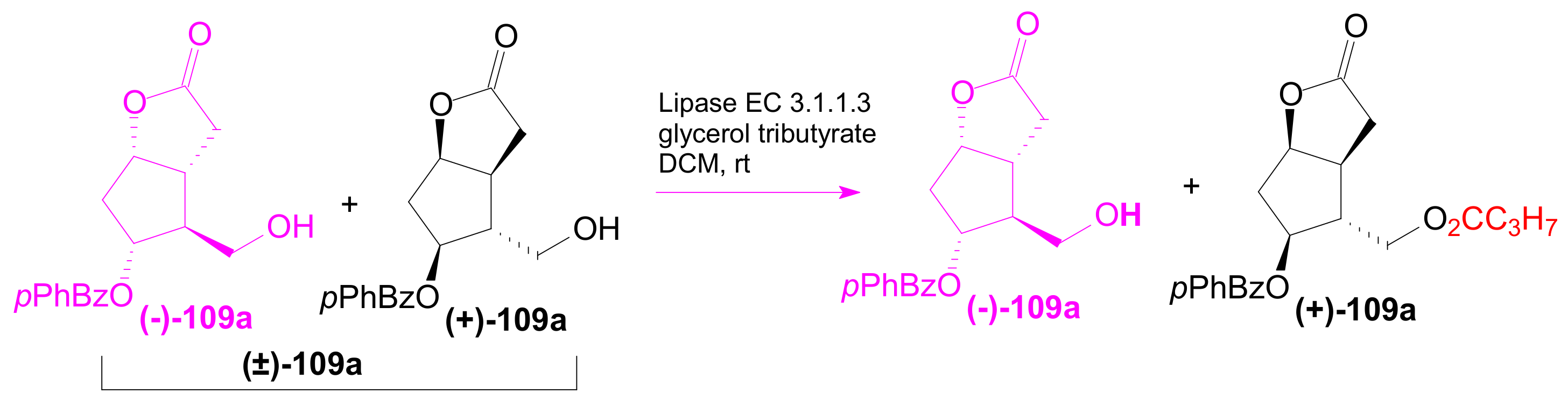 Ijms 22 01572 sch042 Ijms 22 01572 sch042