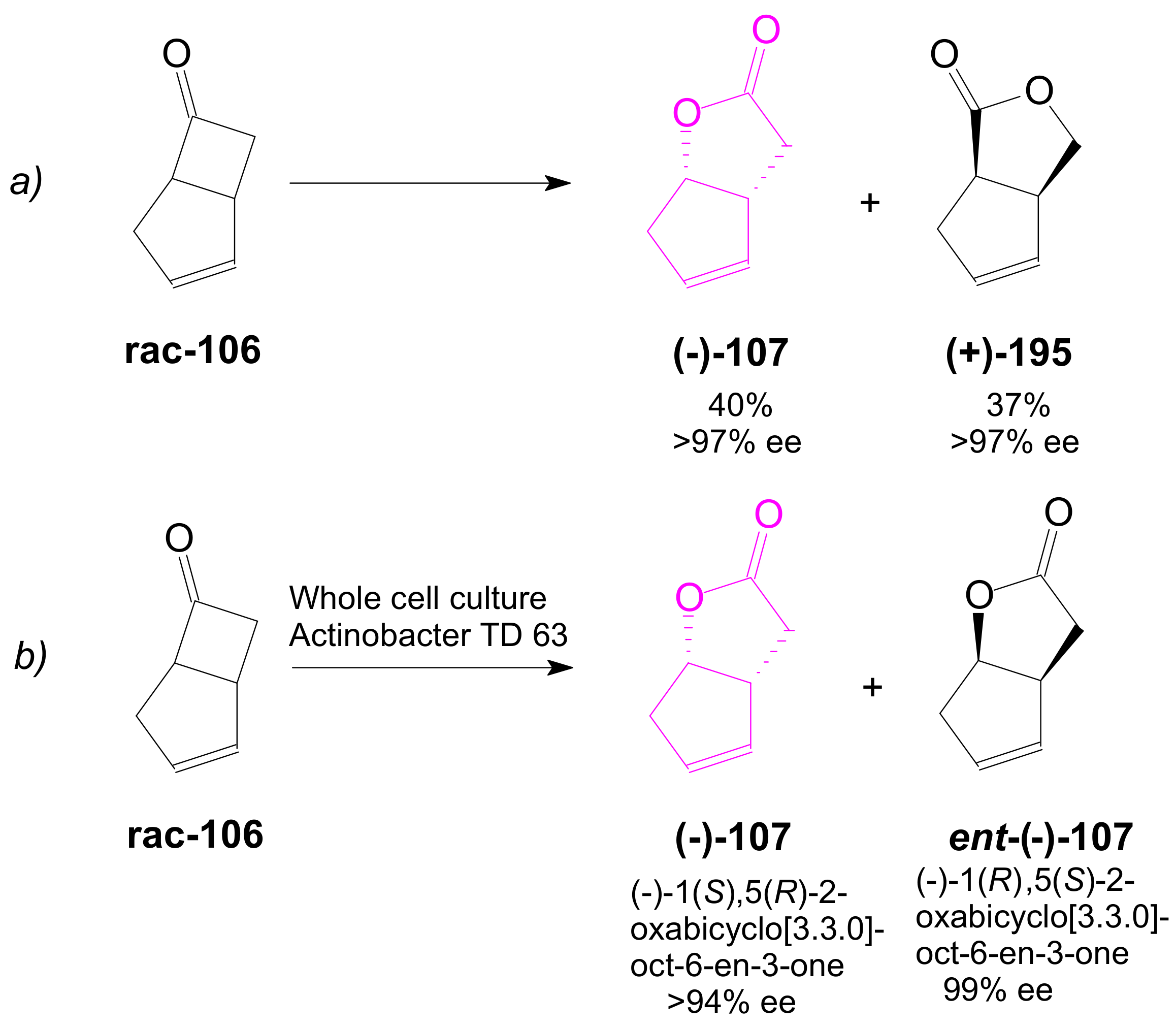 Ijms 22 01572 sch044 Ijms 22 01572 sch044