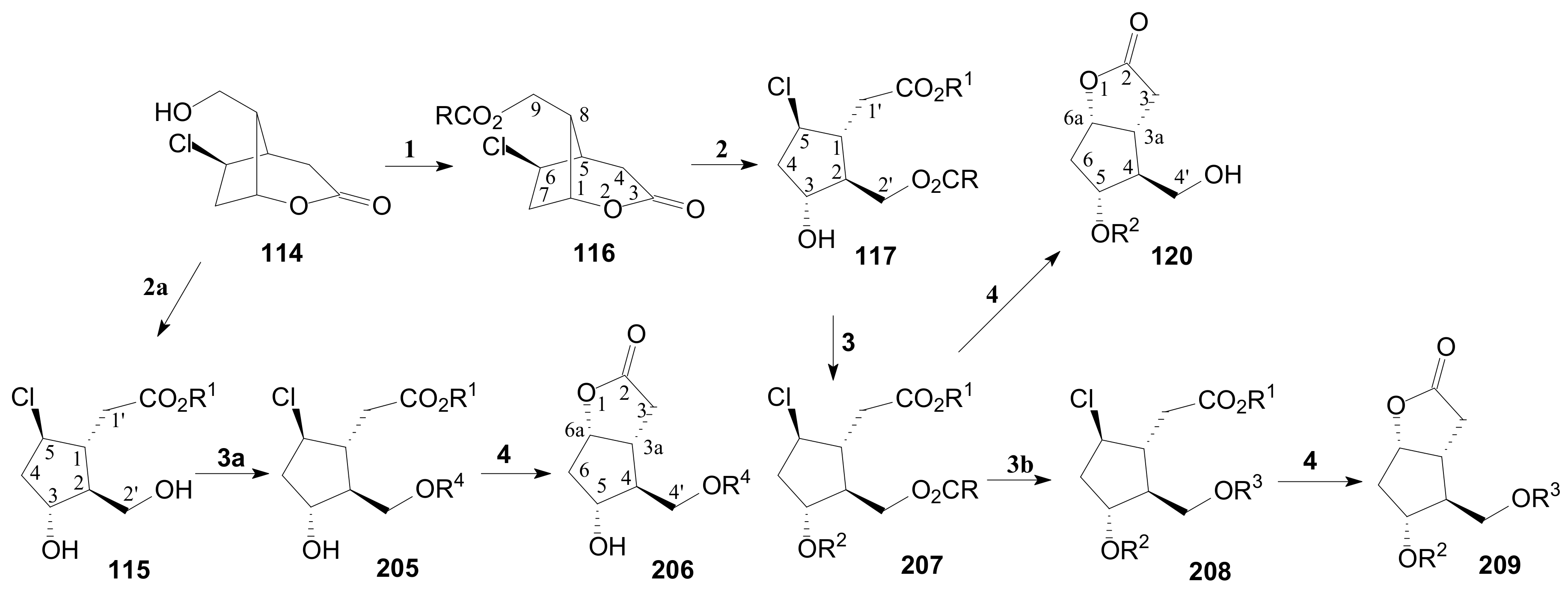 Ijms 22 01572 sch049 Ijms 22 01572 sch049
