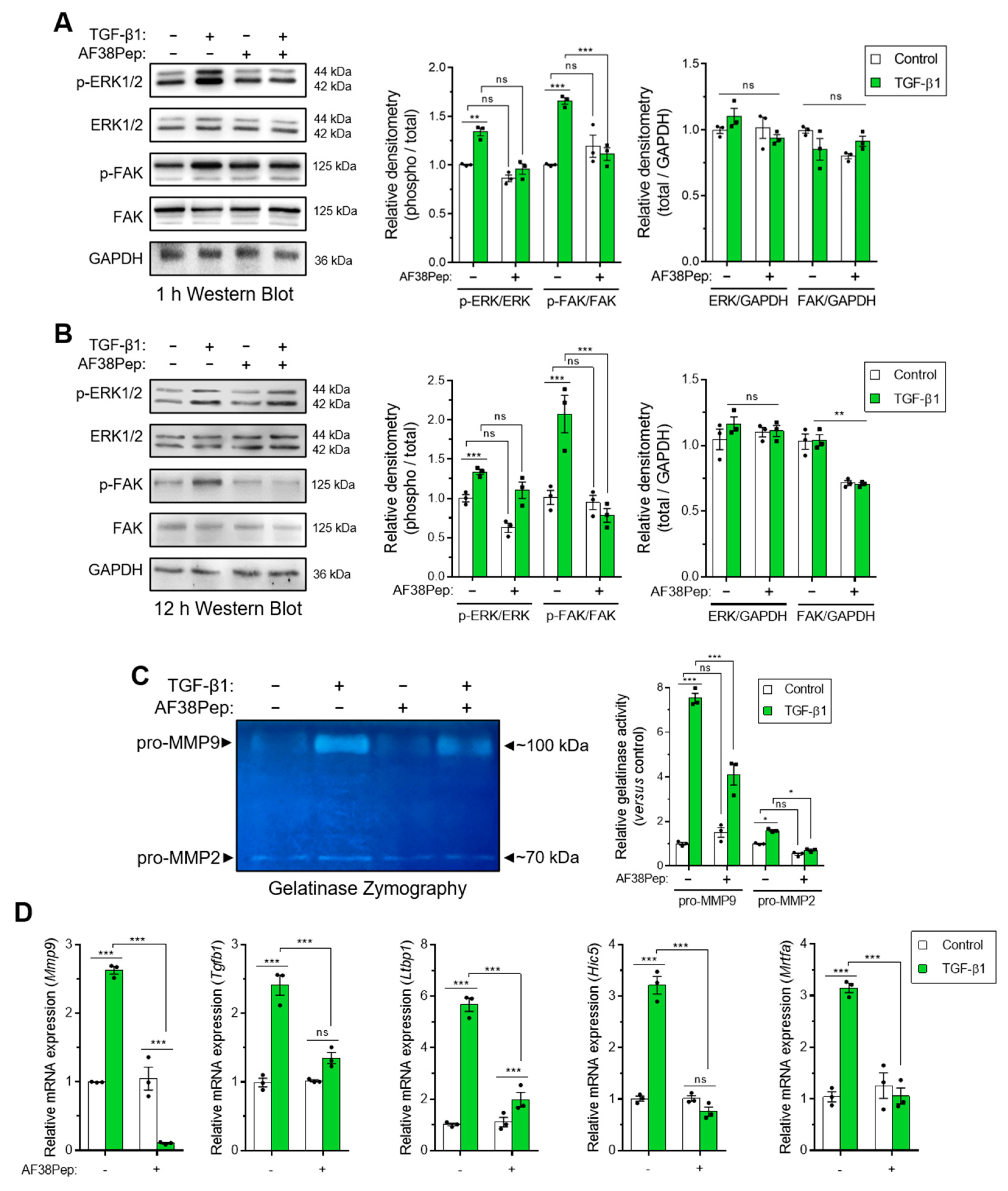 Ijms 22 01575 g008 Ijms 22 01575 g008