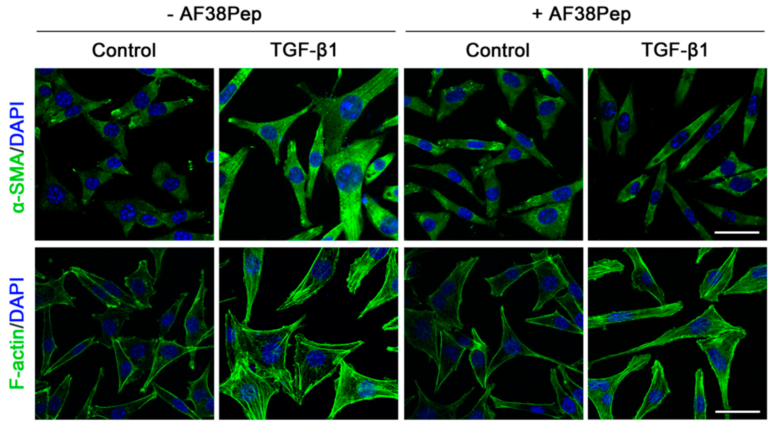 Ijms 22 01575 g009 Ijms 22 01575 g009