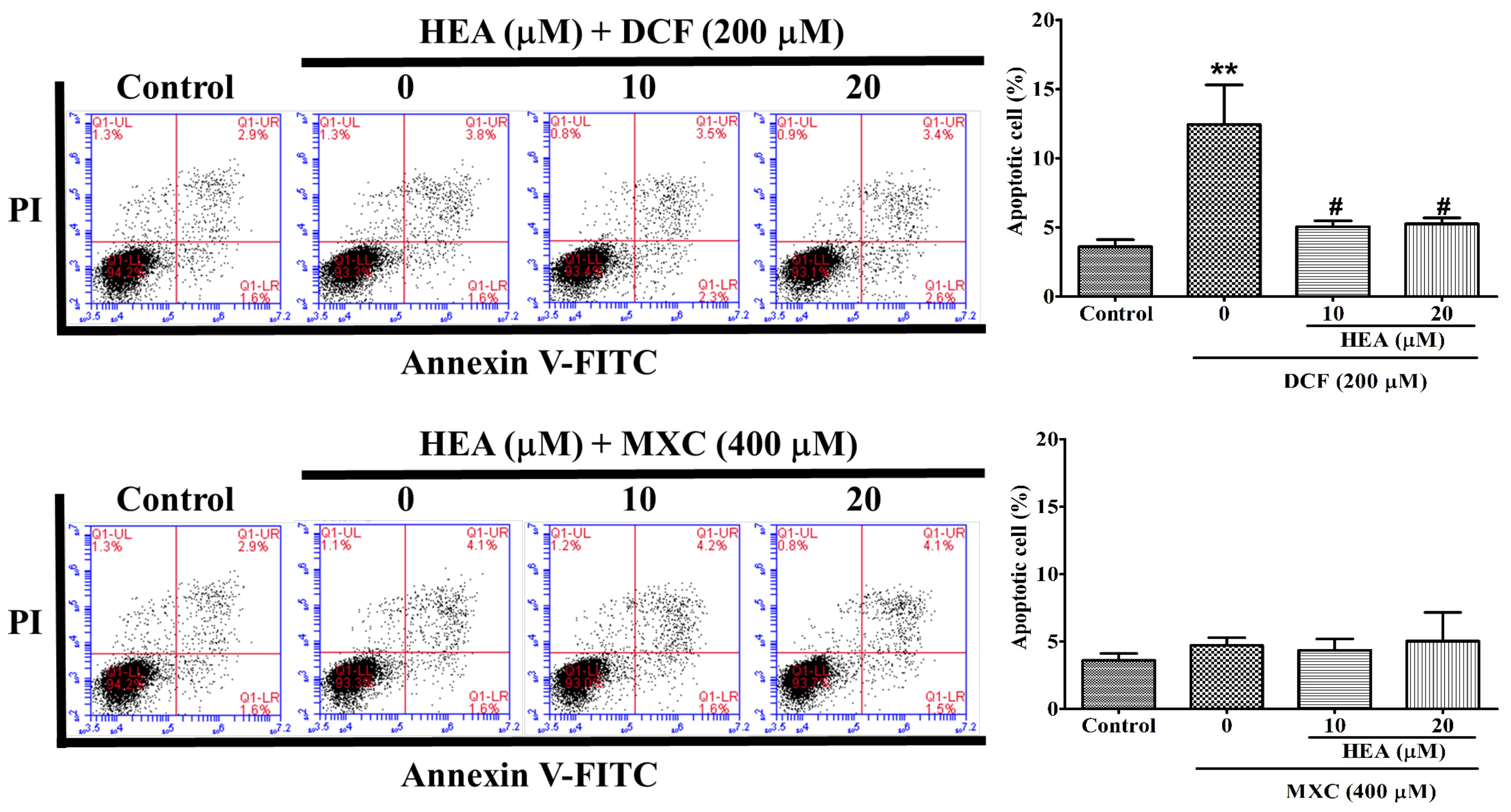 Ijms 22 01577 g004 Ijms 22 01577 g004