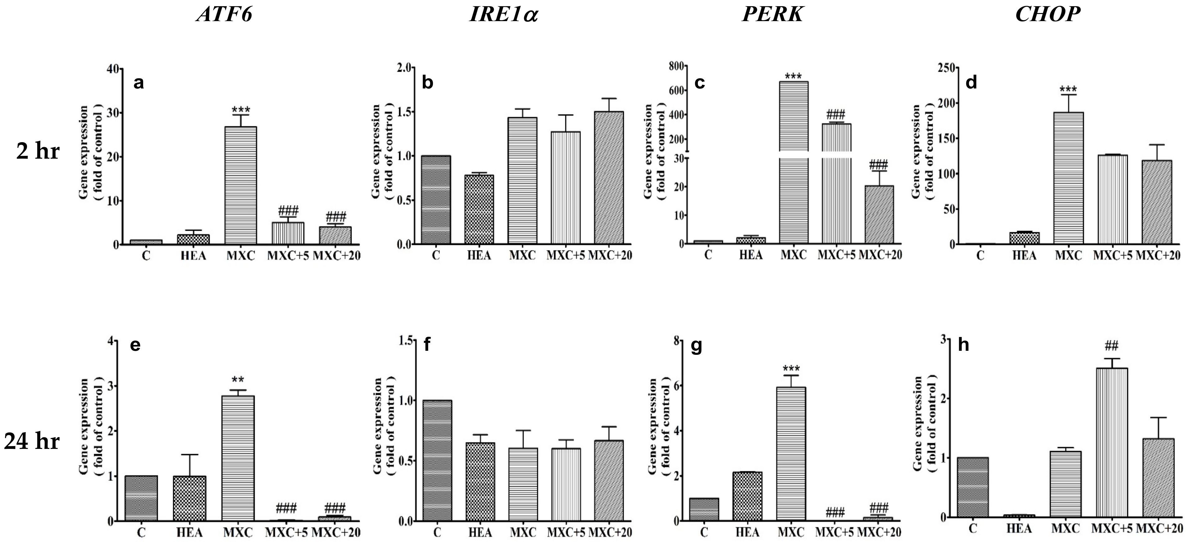 Ijms 22 01577 g006 Ijms 22 01577 g006