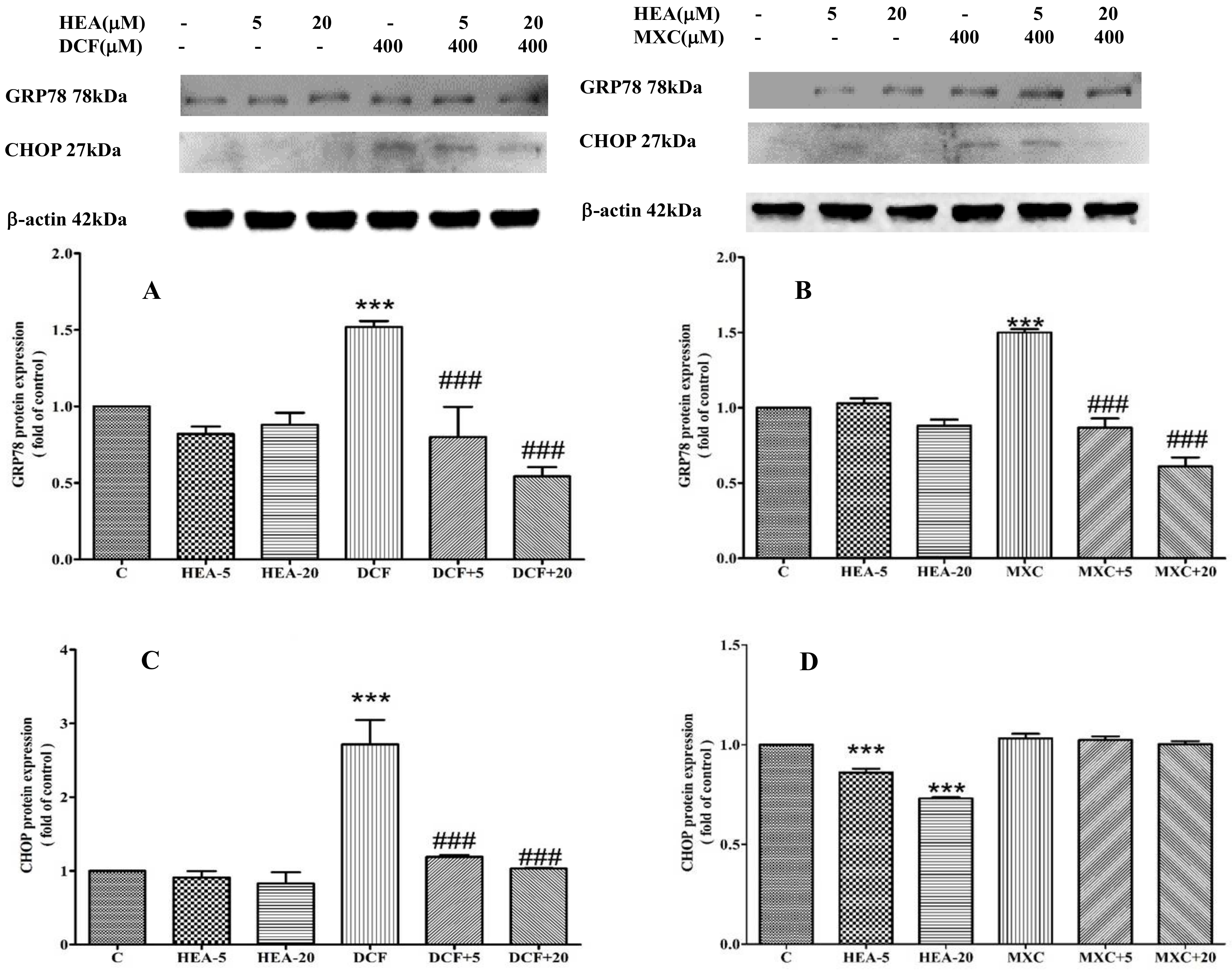 Ijms 22 01577 g007 Ijms 22 01577 g007