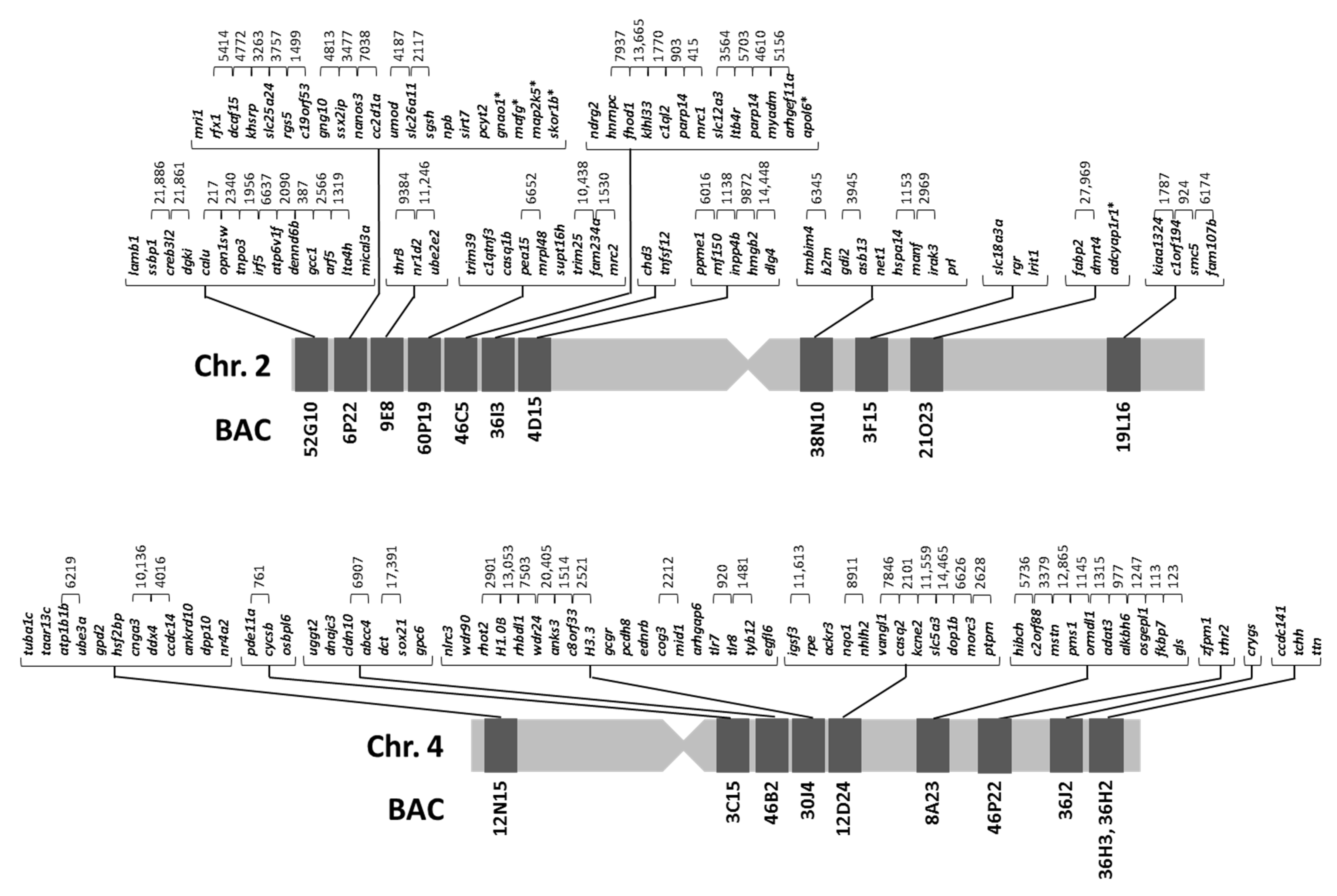 Ijms 22 01614 g002 Ijms 22 01614 g002