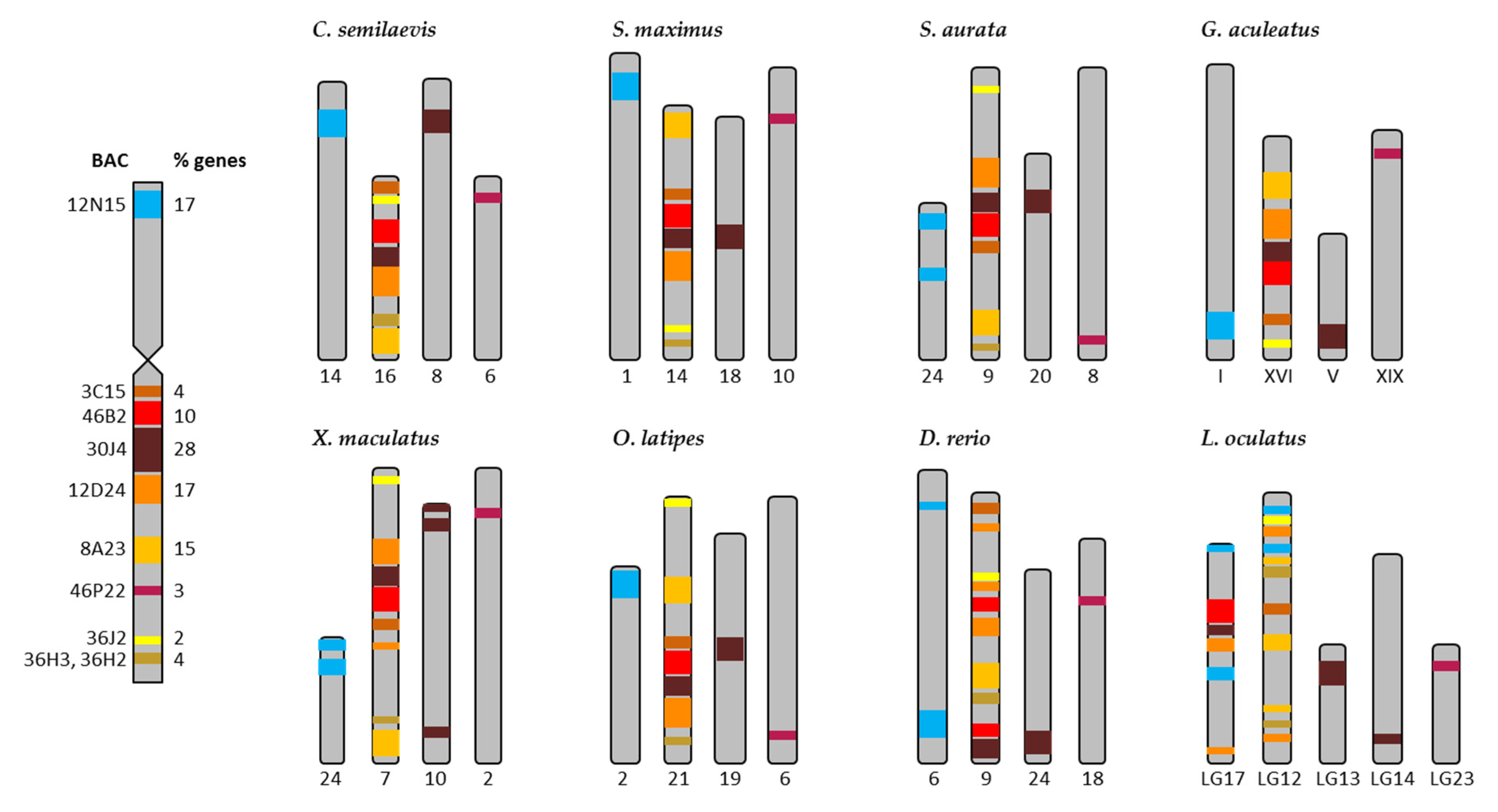 Ijms 22 01614 g004 Ijms 22 01614 g004