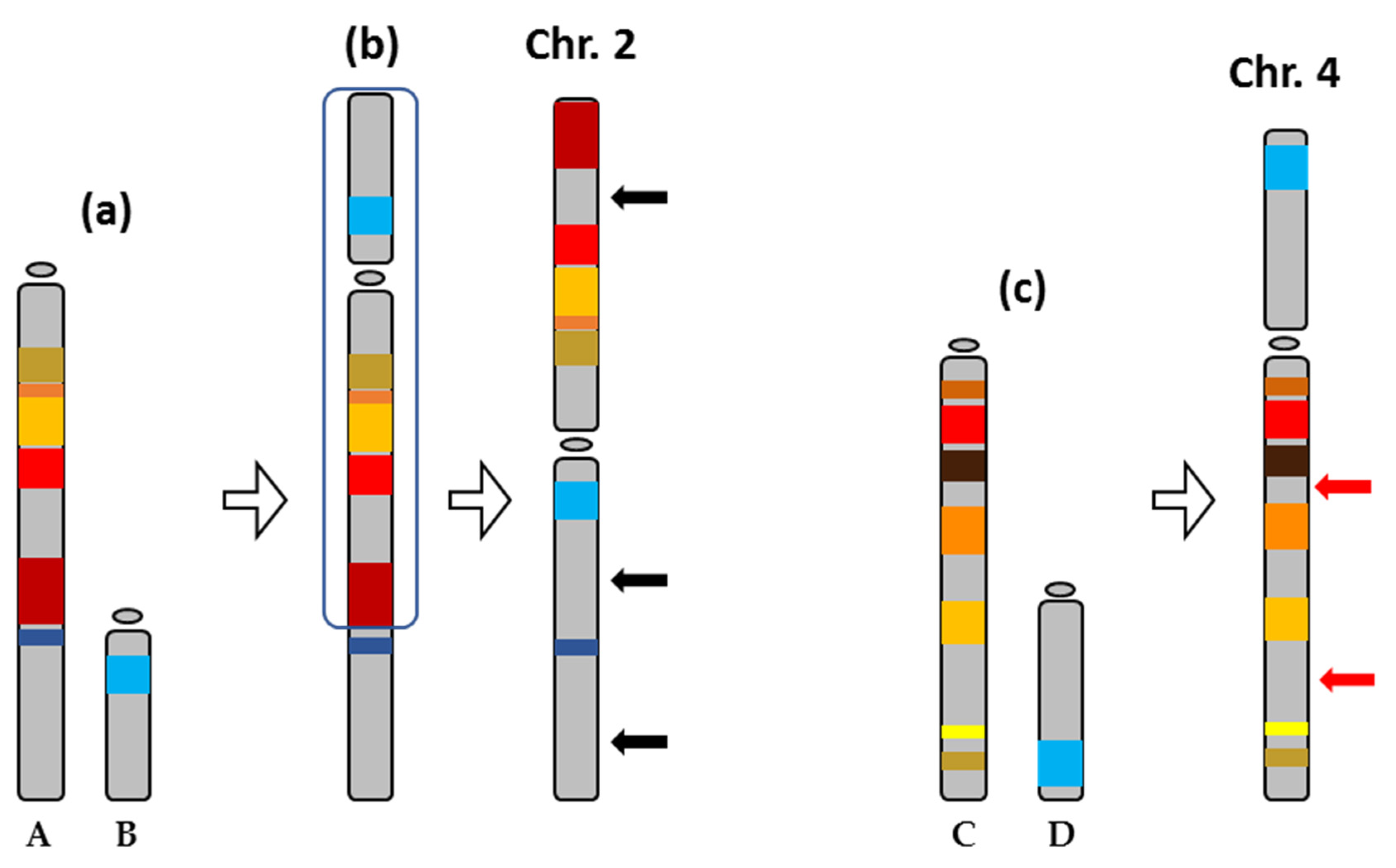 Ijms 22 01614 g008 Ijms 22 01614 g008