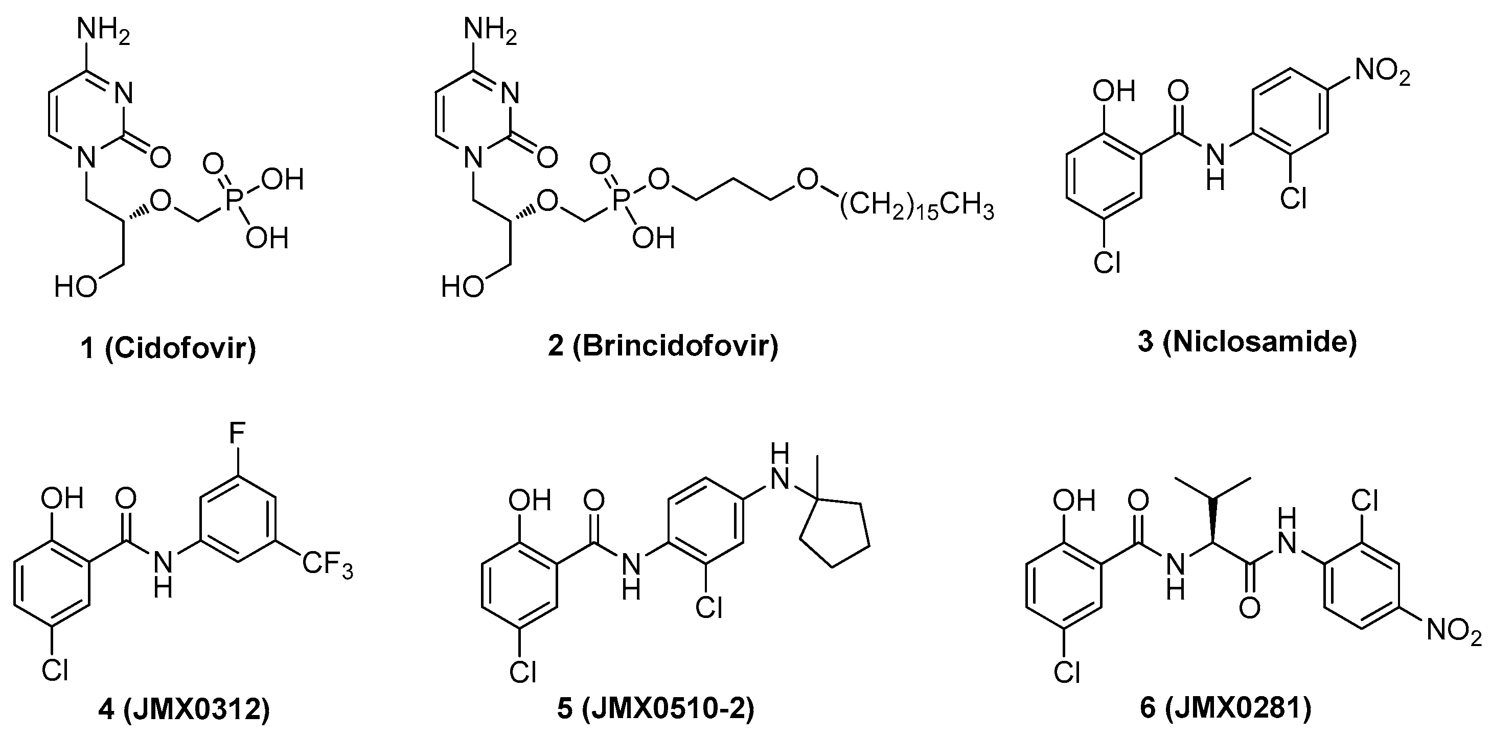Ijms 22 01617 g001 Ijms 22 01617 g001