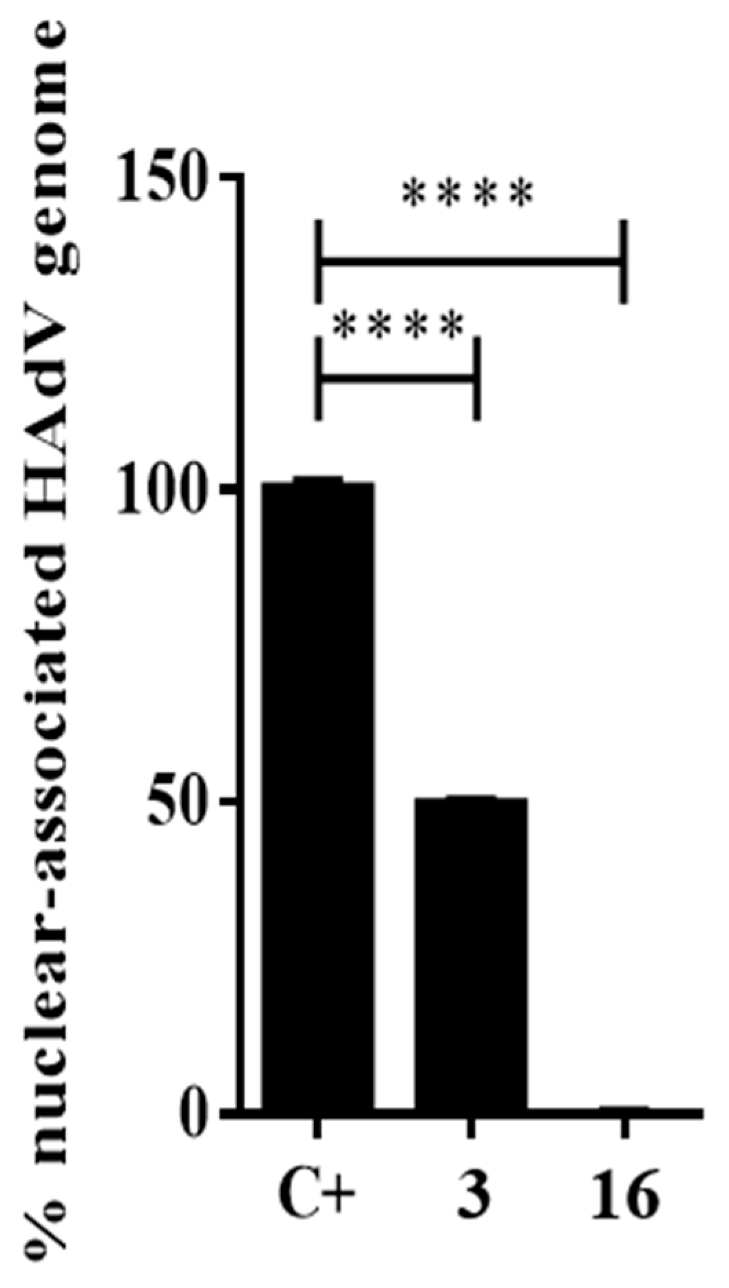 Ijms 22 01617 g005 Ijms 22 01617 g005