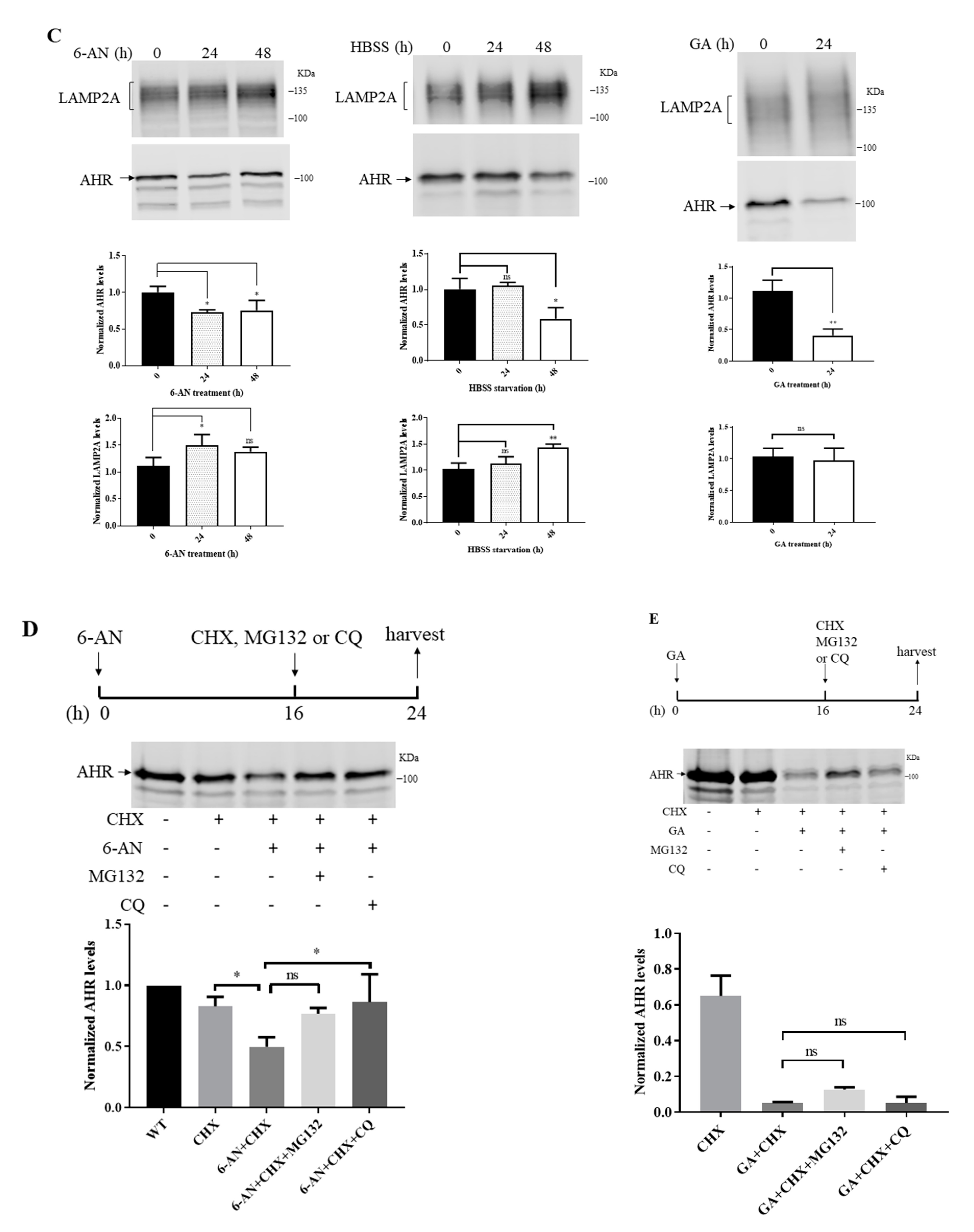 Ijms 22 01654 g005b Ijms 22 01654 g005b