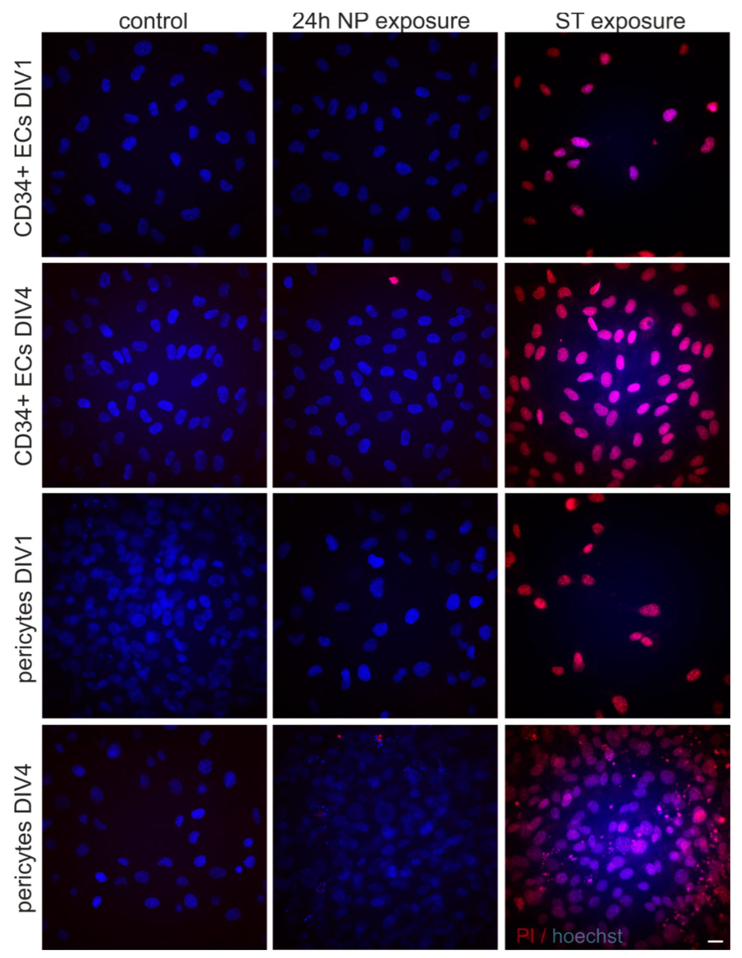 Ijms 22 01657 g0a1 Ijms 22 01657 g0a1