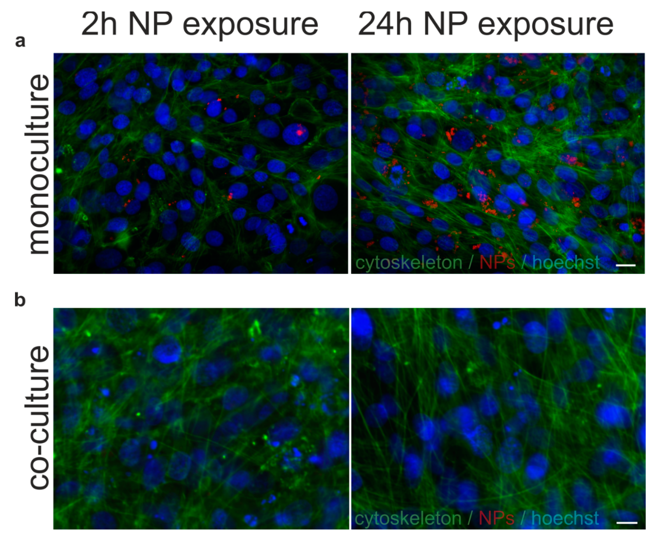 Ijms 22 01657 g0a2 Ijms 22 01657 g0a2