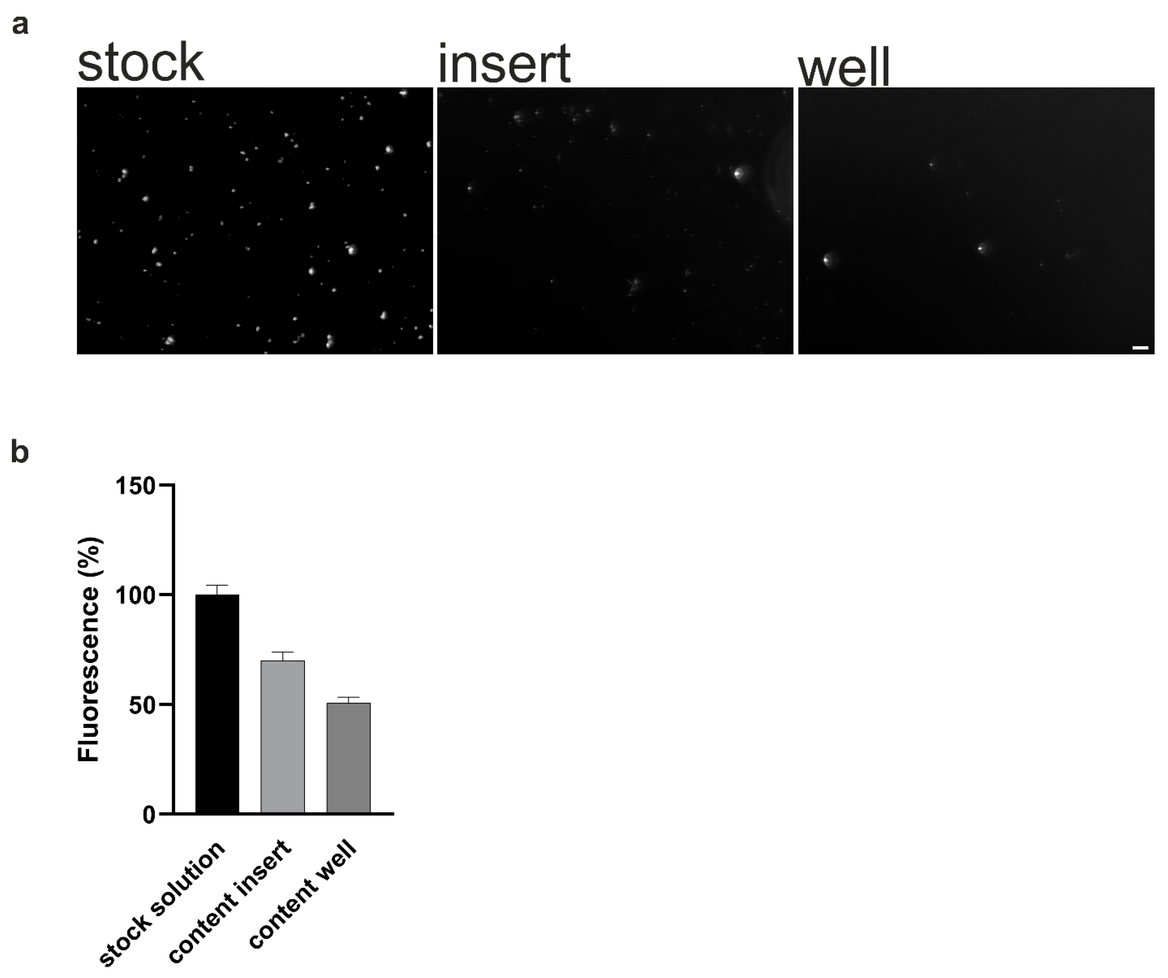 Ijms 22 01657 g0a3 Ijms 22 01657 g0a3