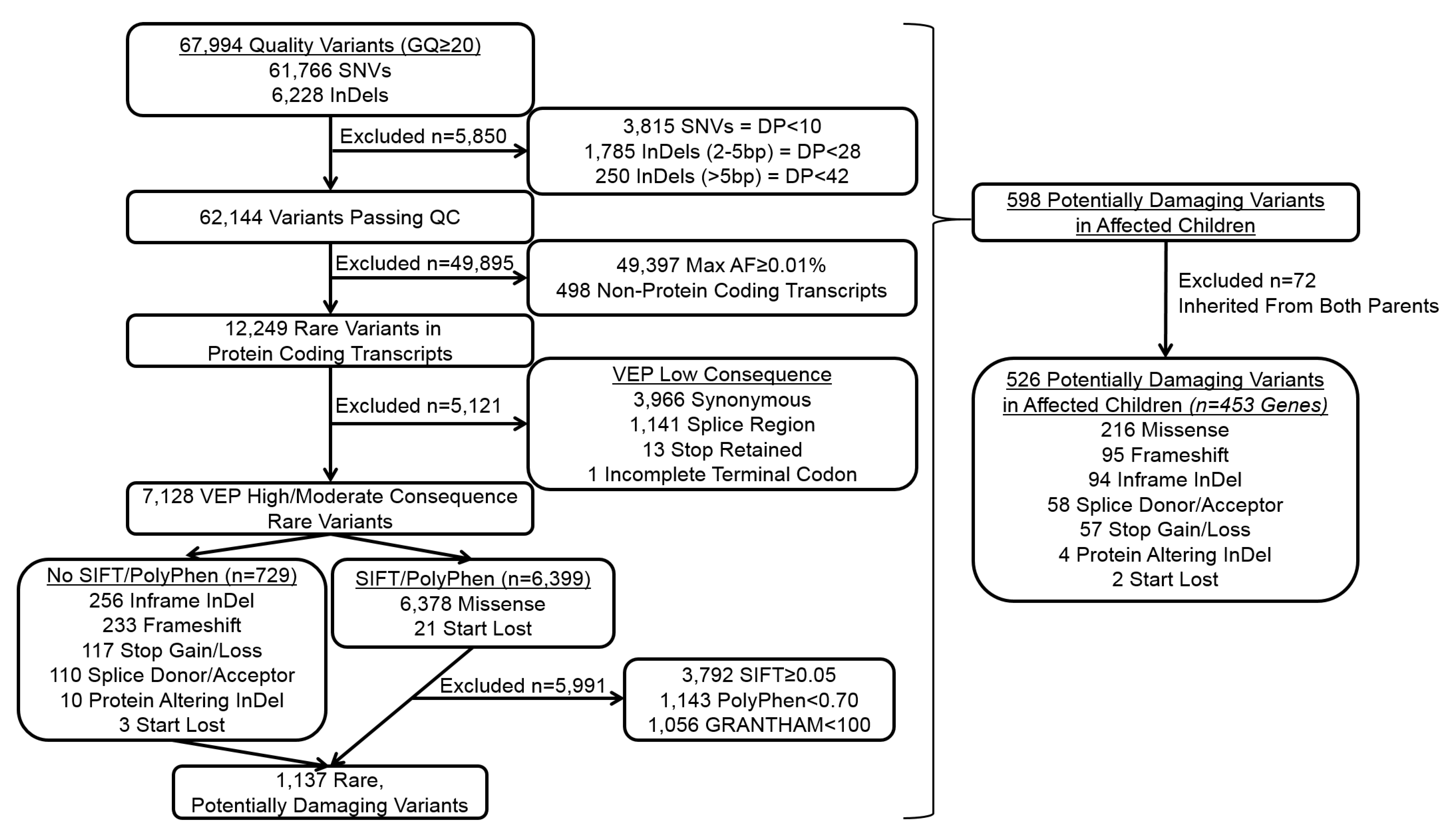 Ijms 22 01660 g001 Ijms 22 01660 g001