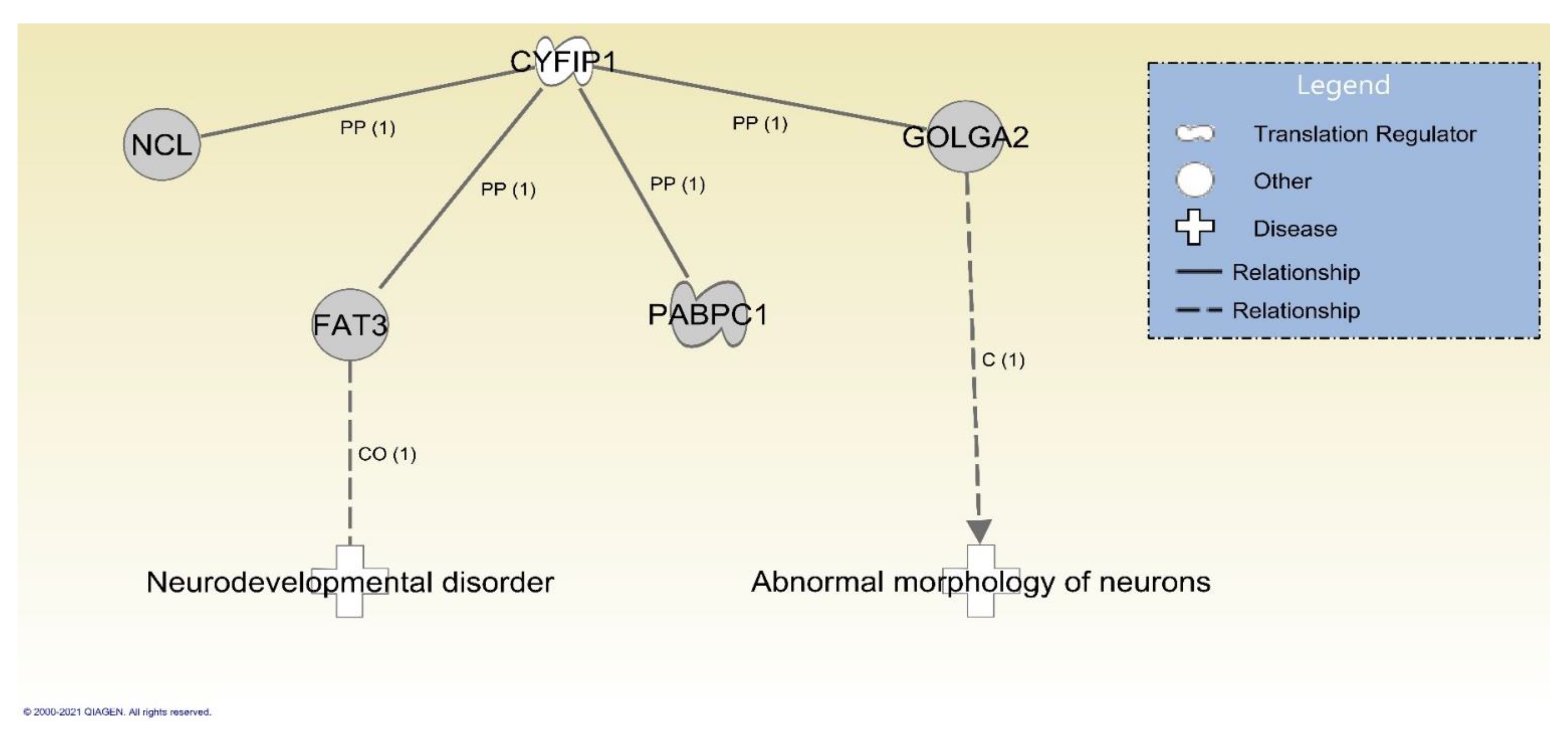 Ijms 22 01660 g004 Ijms 22 01660 g004
