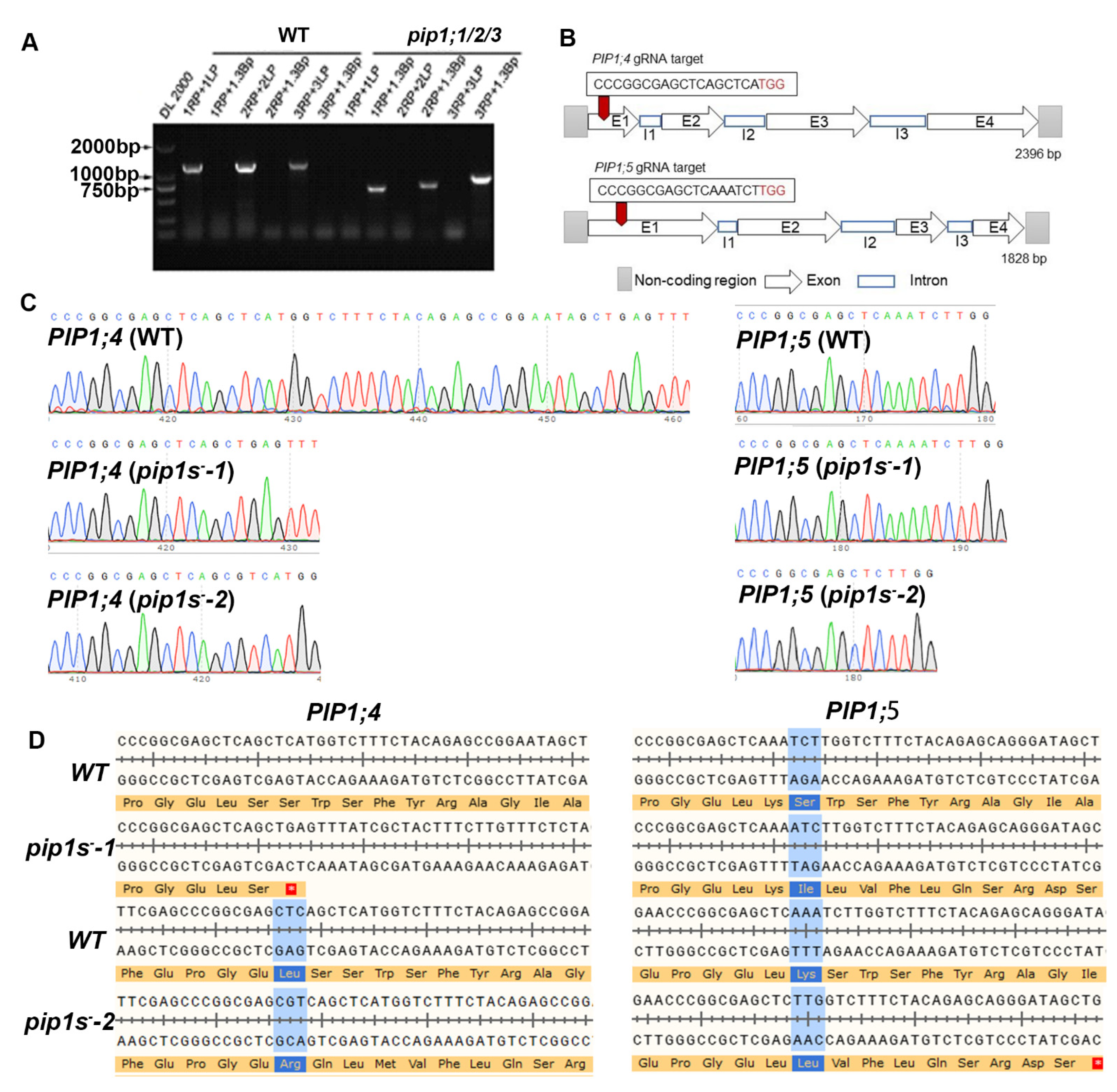Ijms 22 01669 g001 Ijms 22 01669 g001