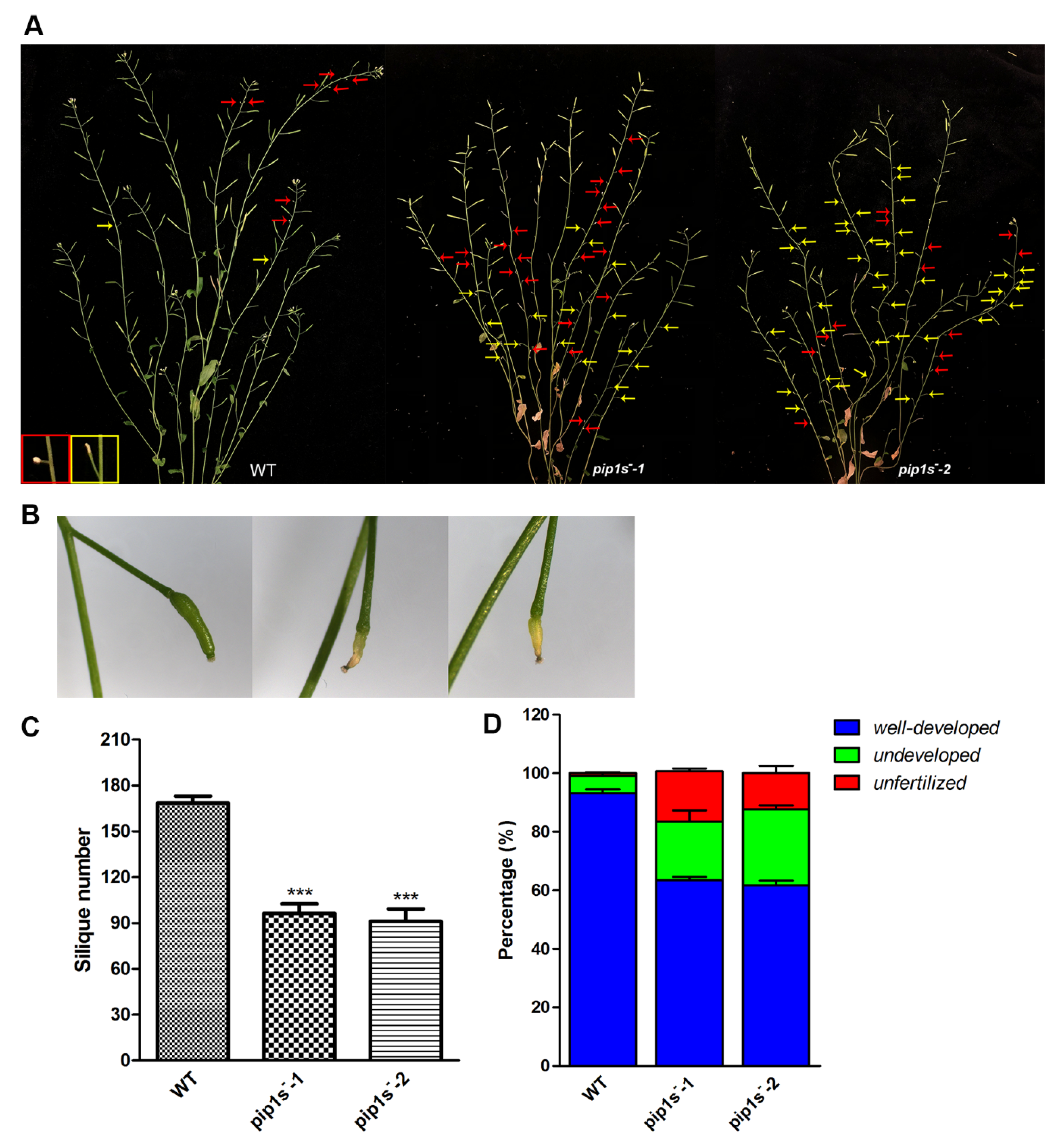 Ijms 22 01669 g004 Ijms 22 01669 g004