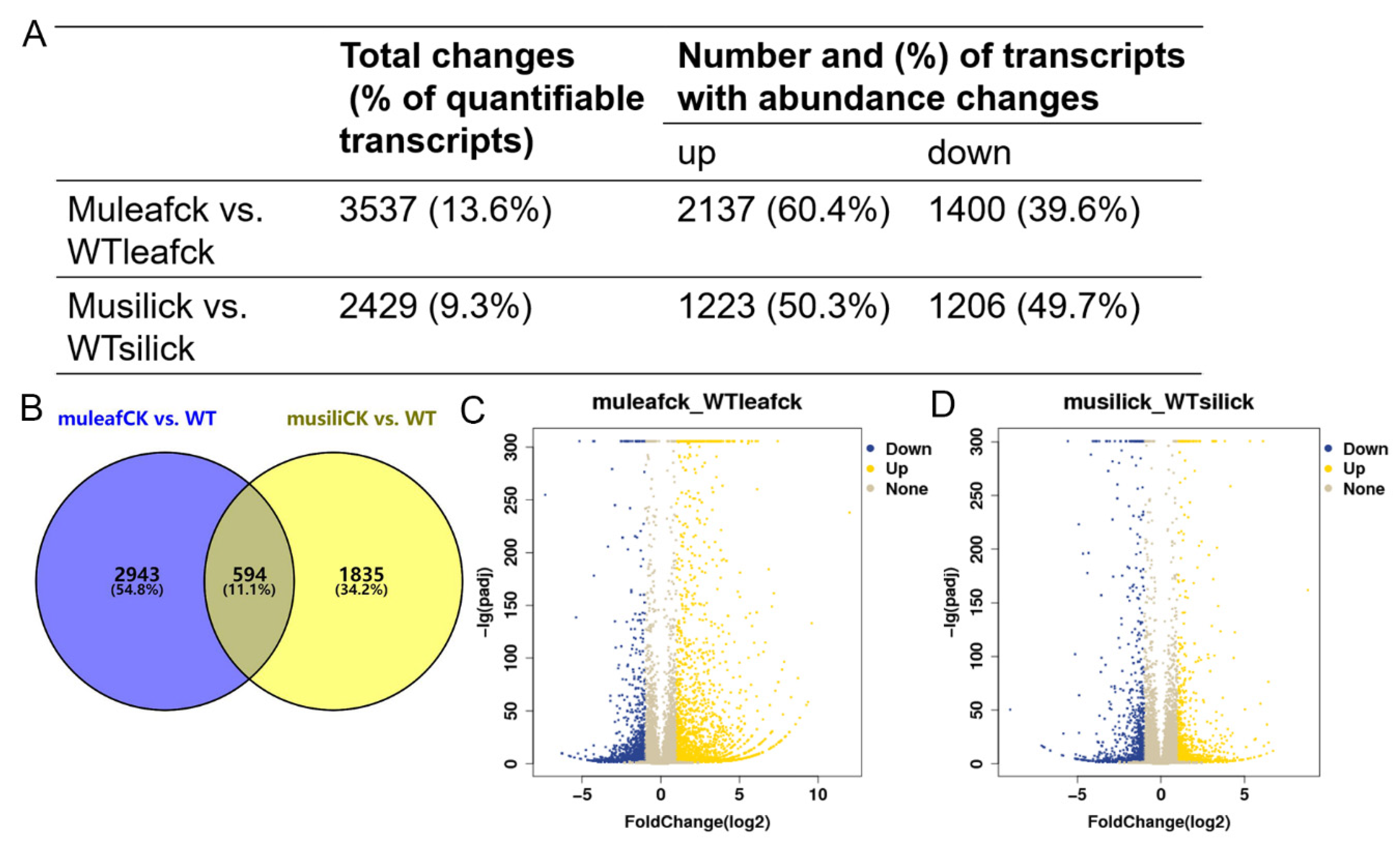 Ijms 22 01669 g008 Ijms 22 01669 g008