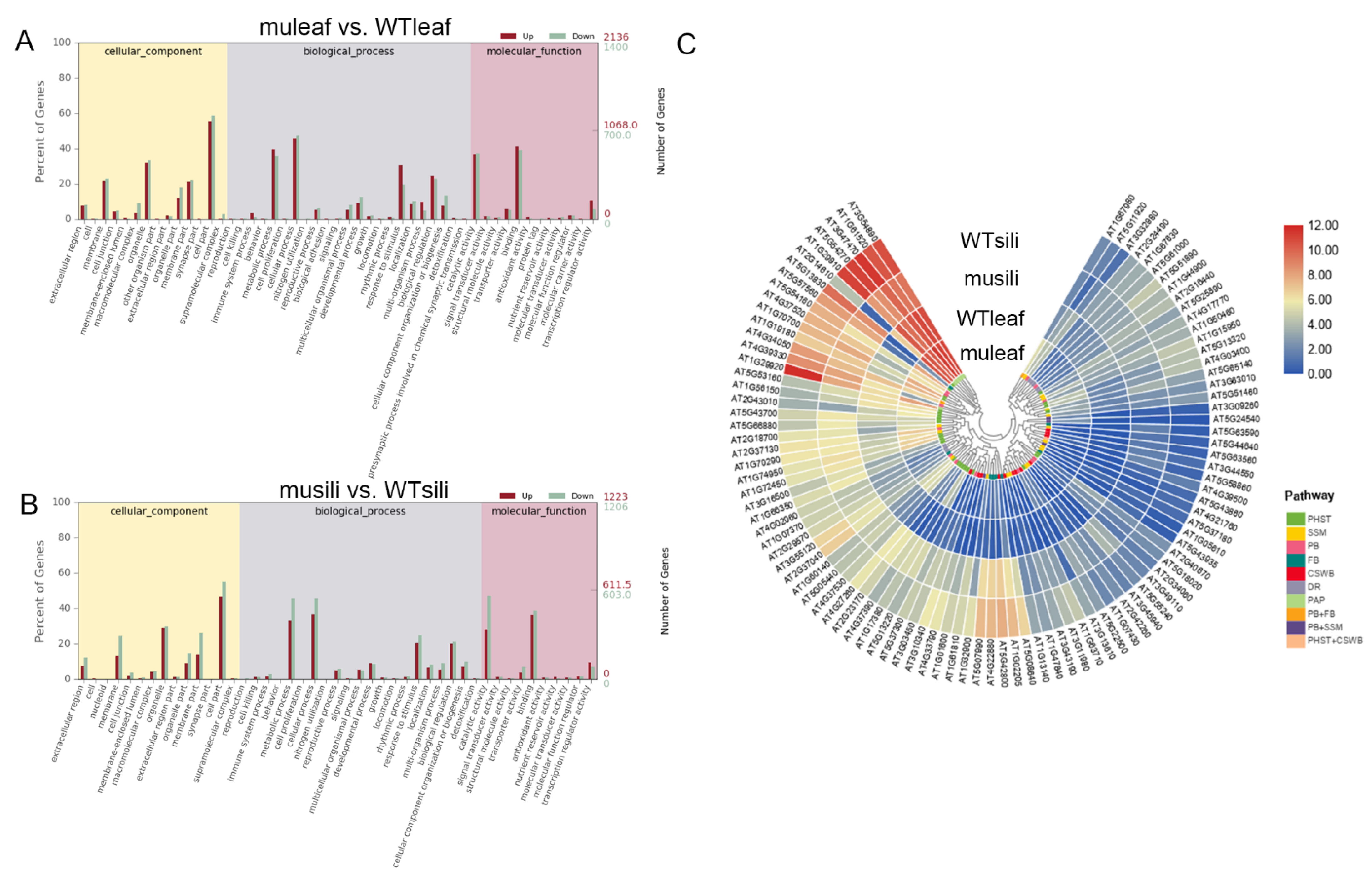 Ijms 22 01669 g009 Ijms 22 01669 g009