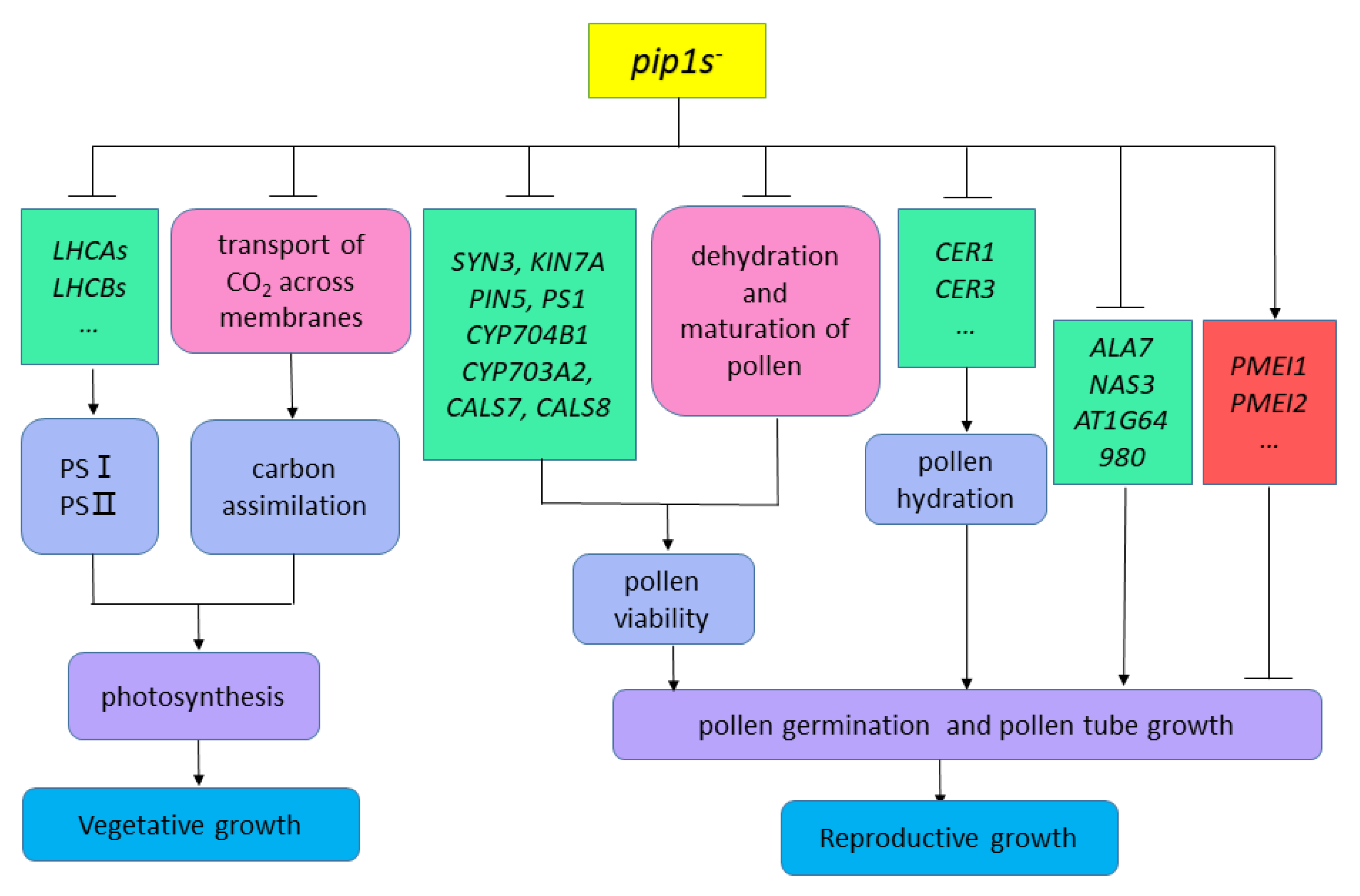 Ijms 22 01669 g011 Ijms 22 01669 g011