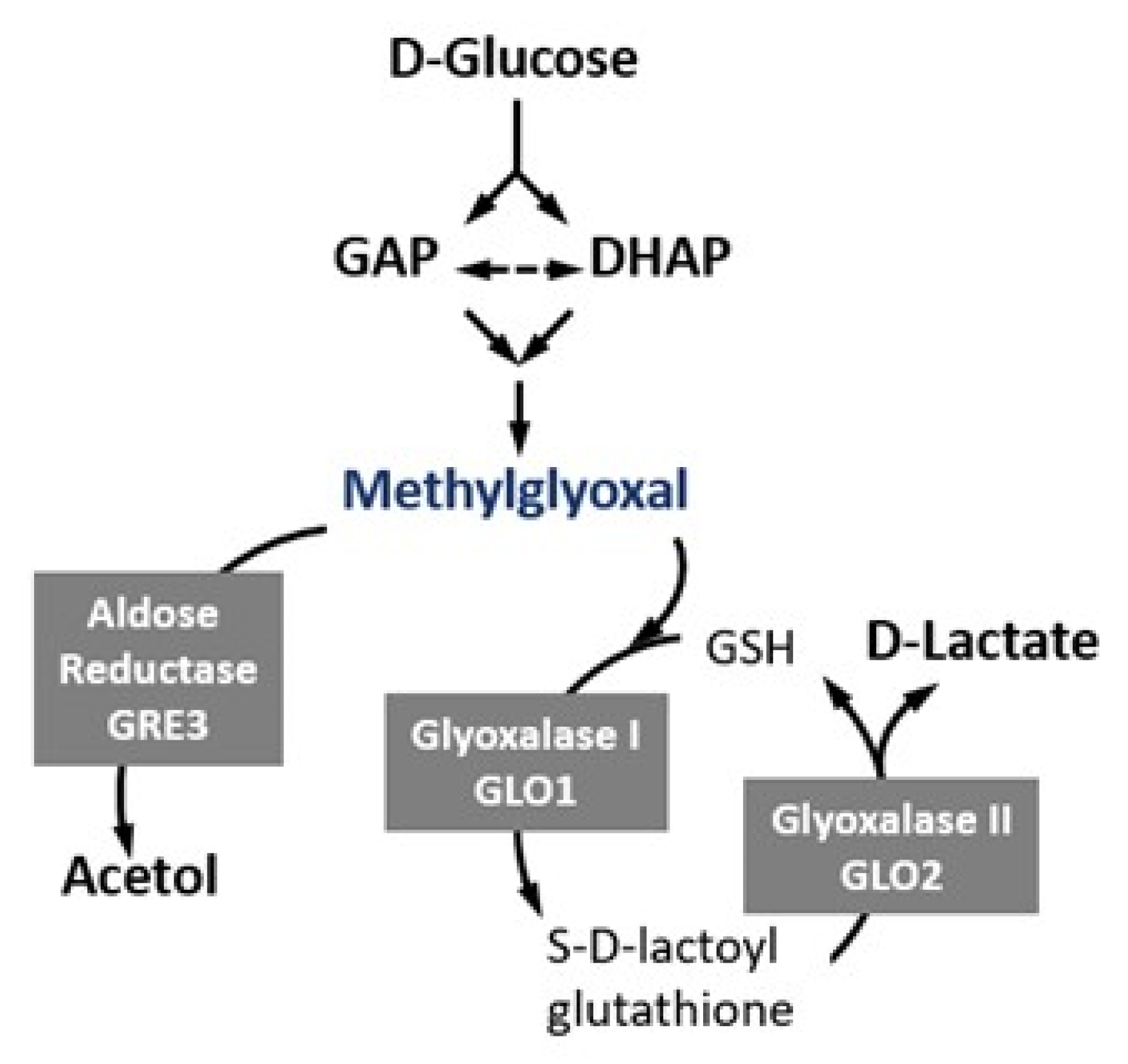 Ijms 22 01677 g001