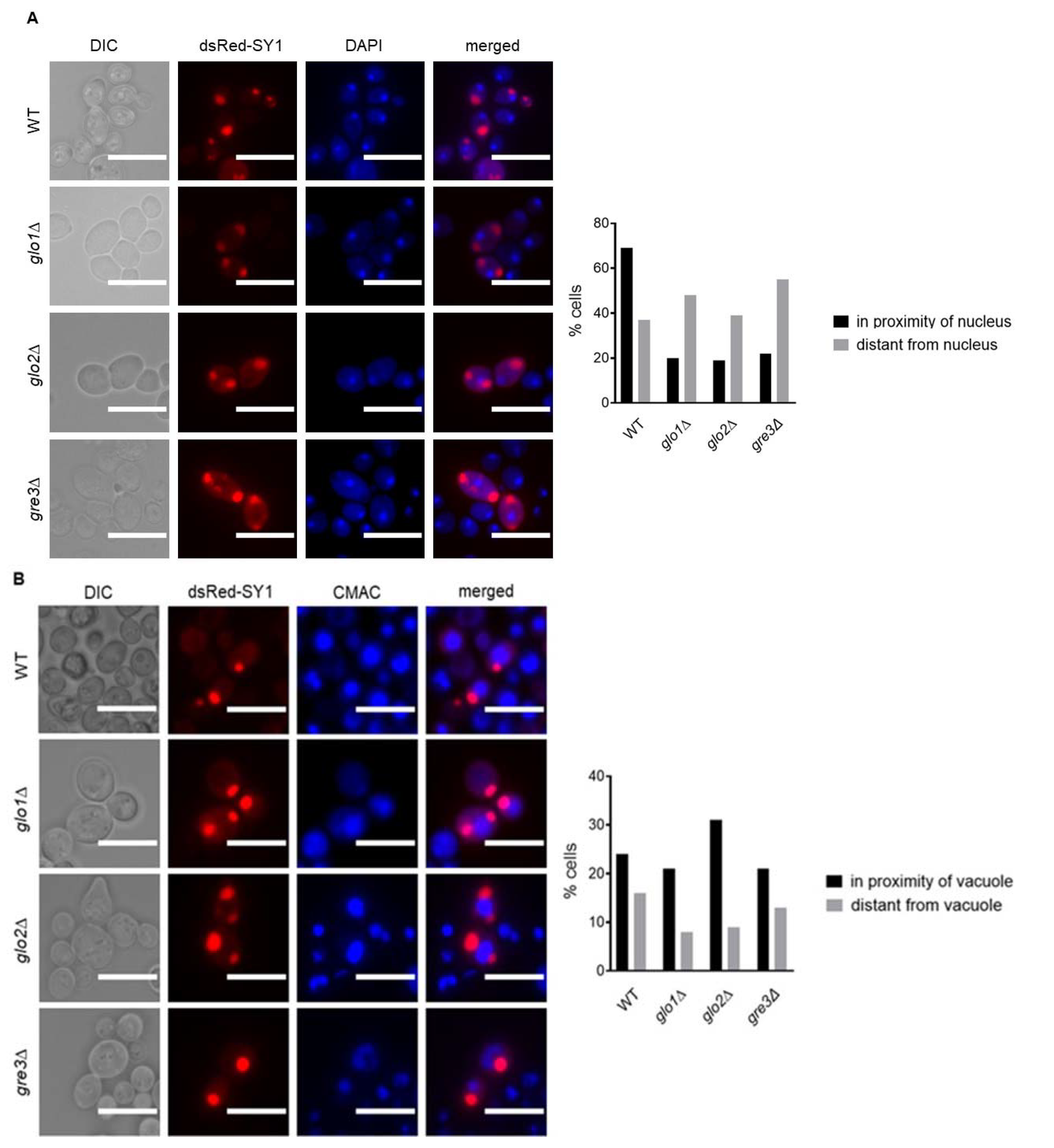 Ijms 22 01677 g006