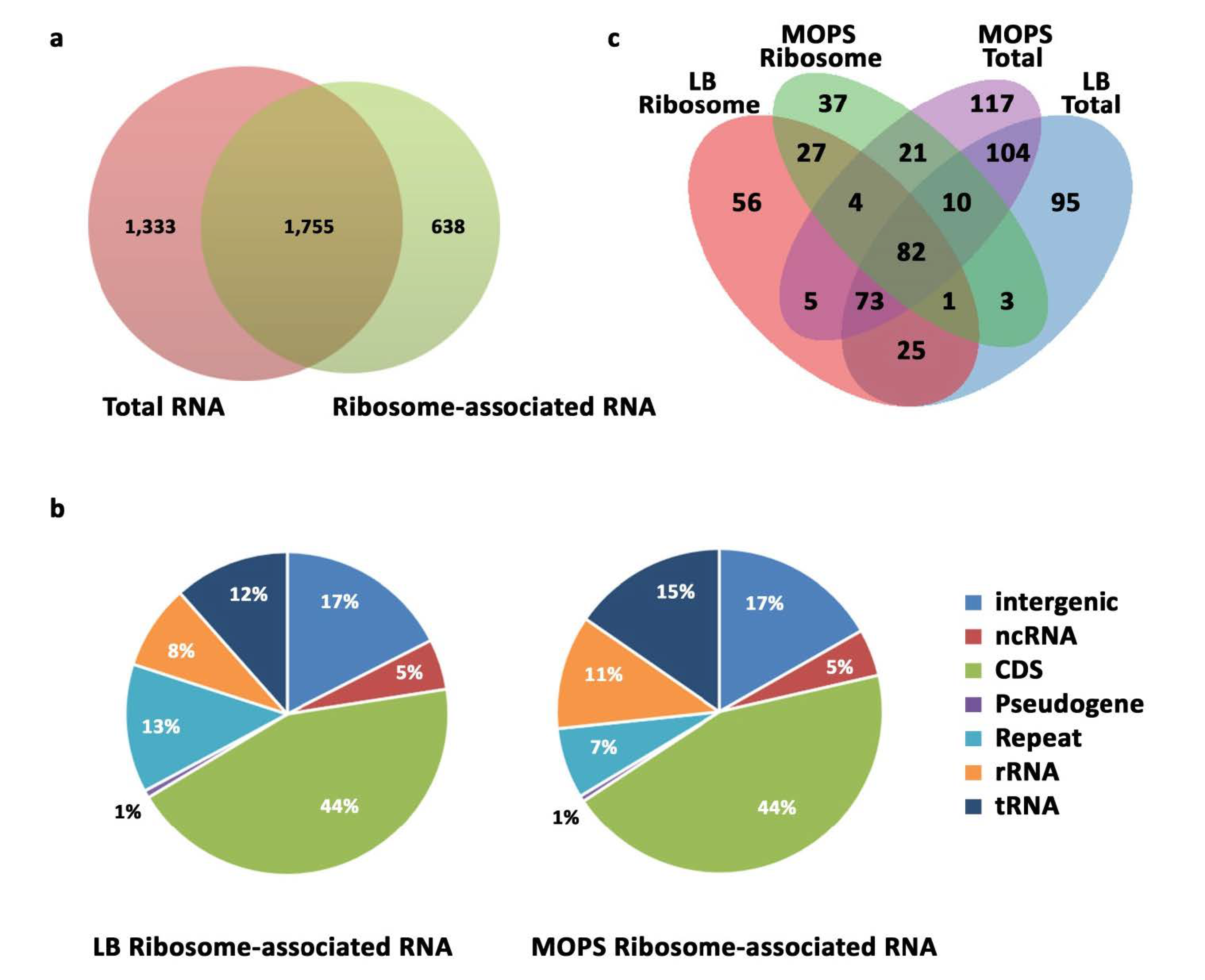 Ijms 22 01703 g002 Ijms 22 01703 g002