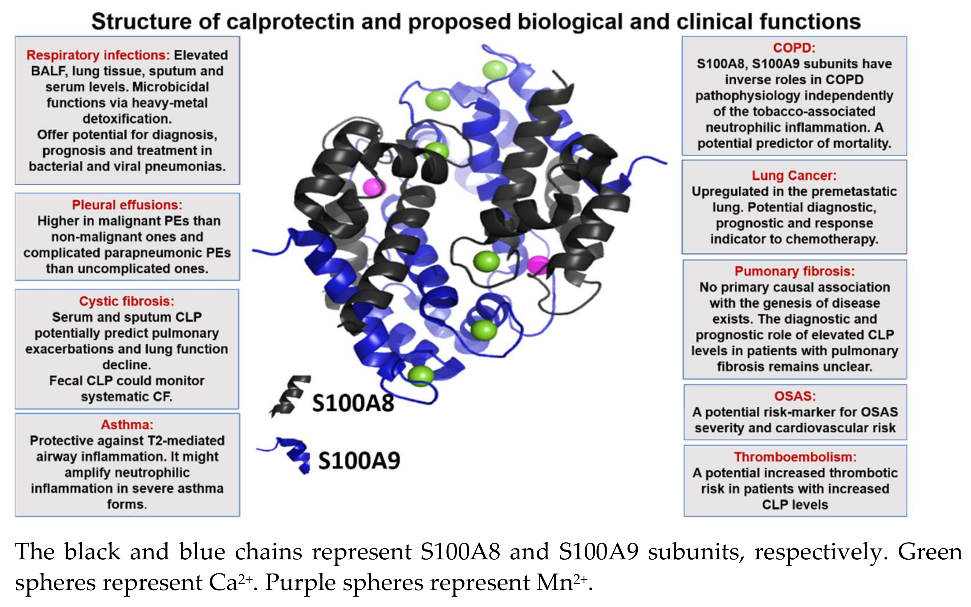 Ijms 22 01706 g001 Ijms 22 01706 g001
