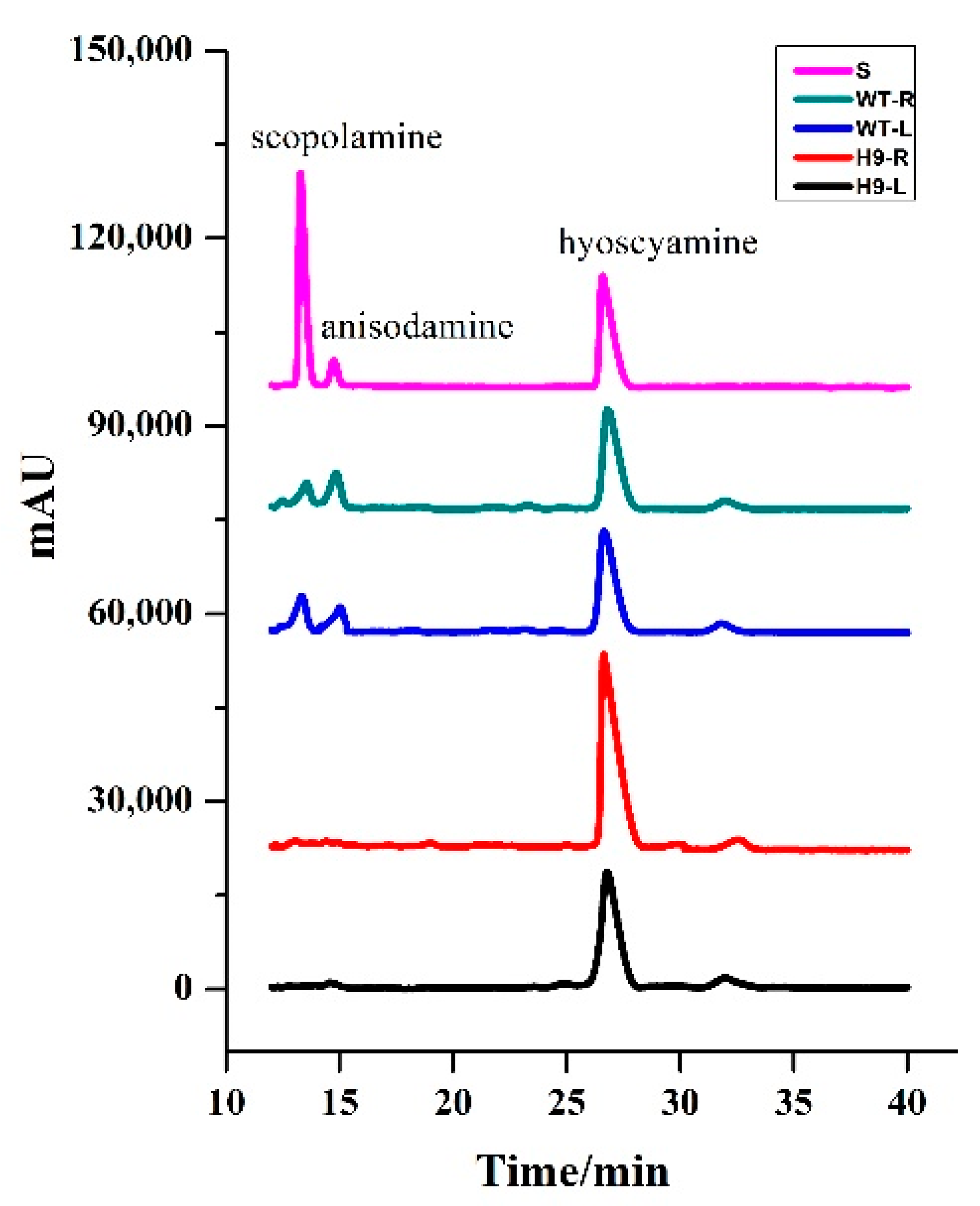 Ijms 22 01731 g004 Ijms 22 01731 g004