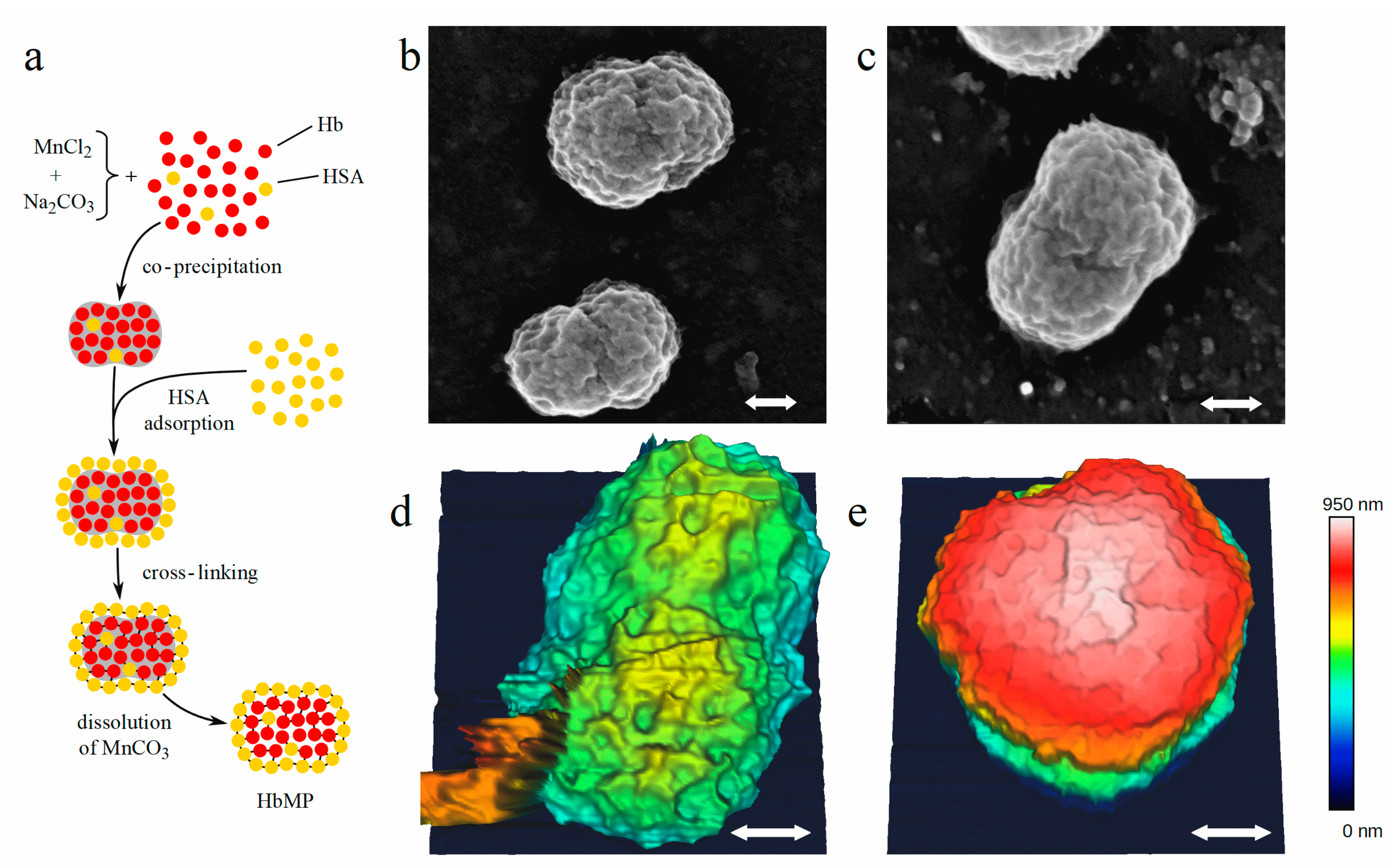 Ijms 22 01753 g001 Ijms 22 01753 g001