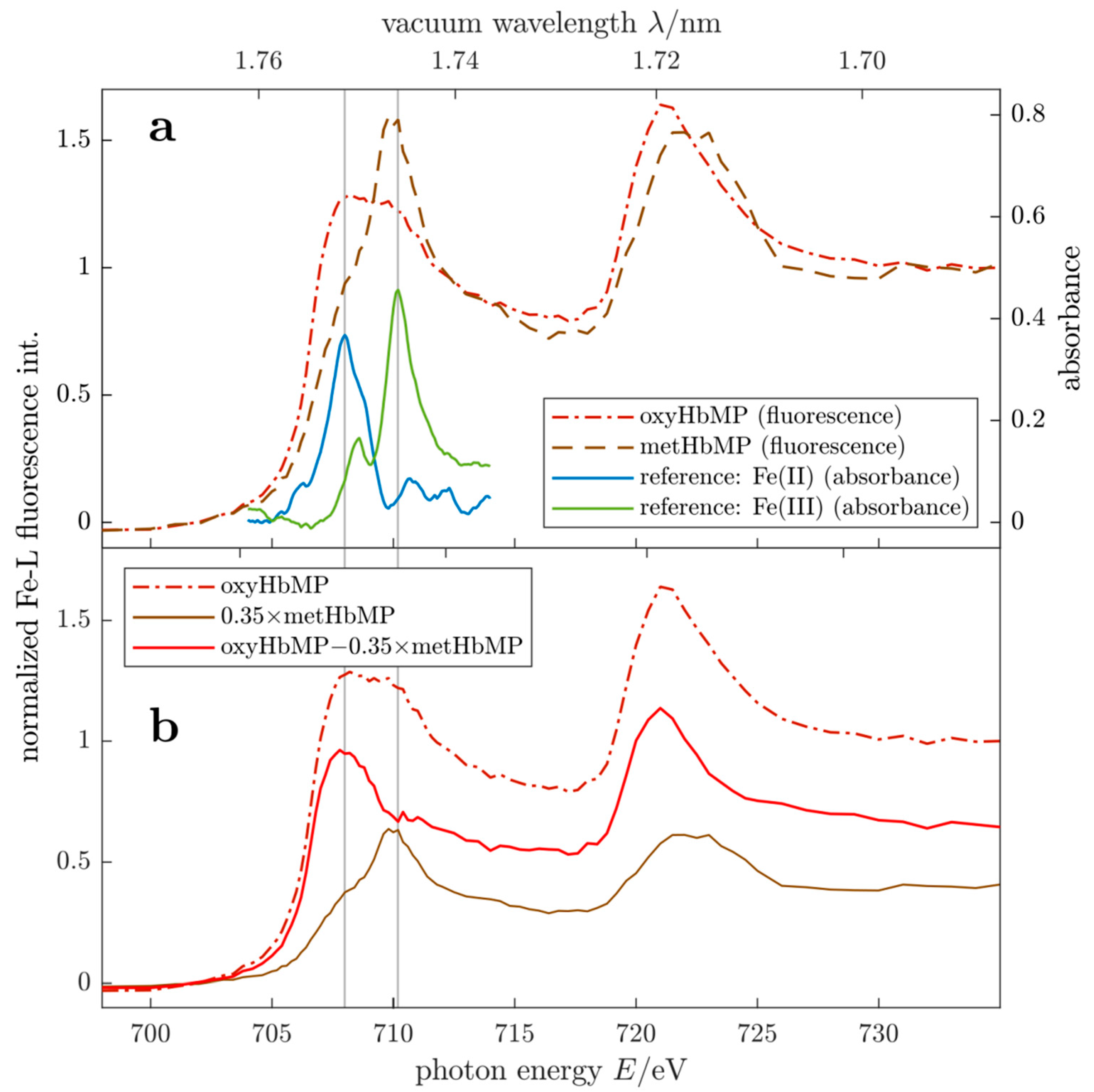 Ijms 22 01753 g004 Ijms 22 01753 g004