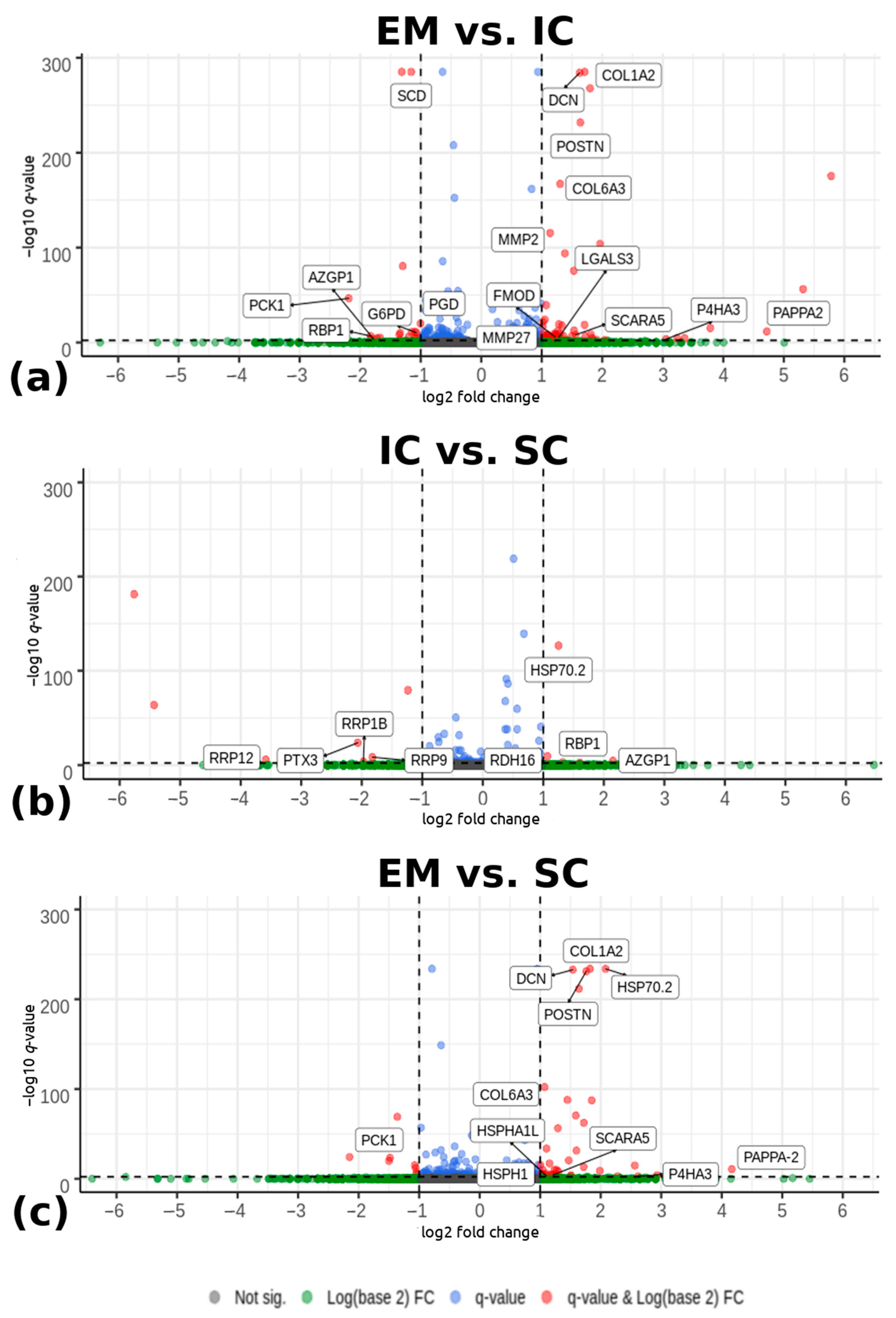 Ijms 22 01768 g001 Ijms 22 01768 g001