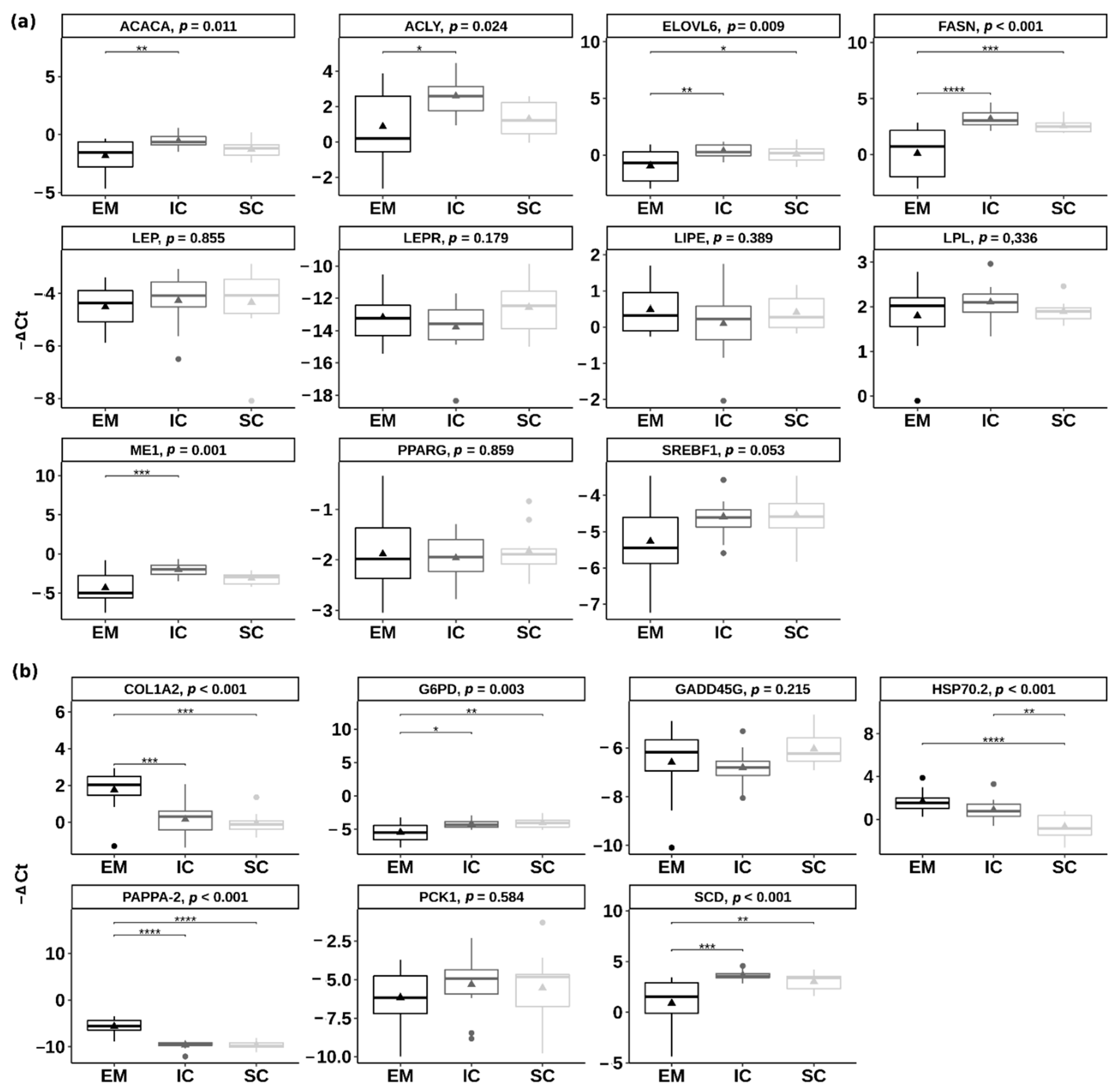 Ijms 22 01768 g005 Ijms 22 01768 g005