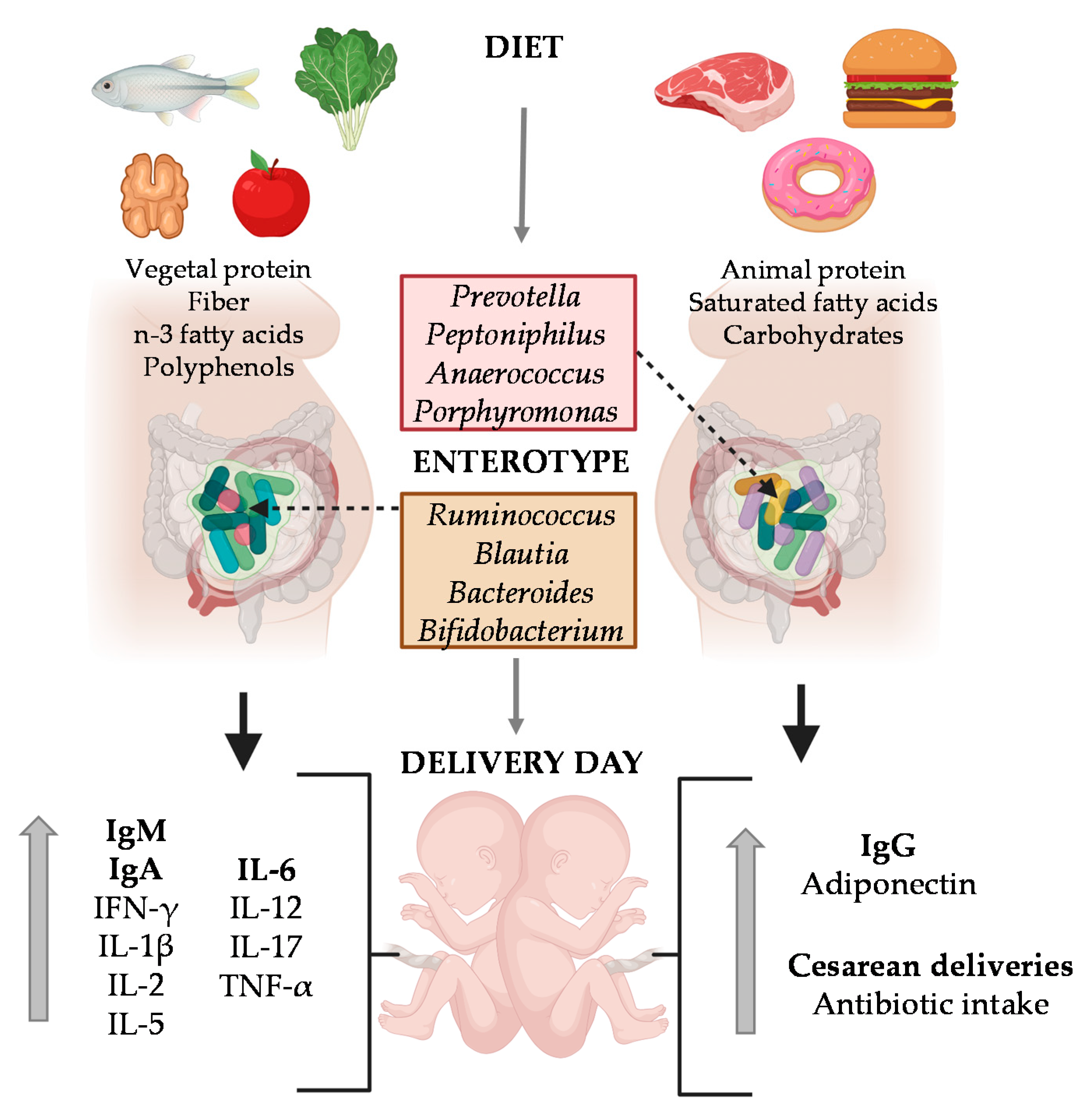 Ijms 22 01778 g007 Ijms 22 01778 g007
