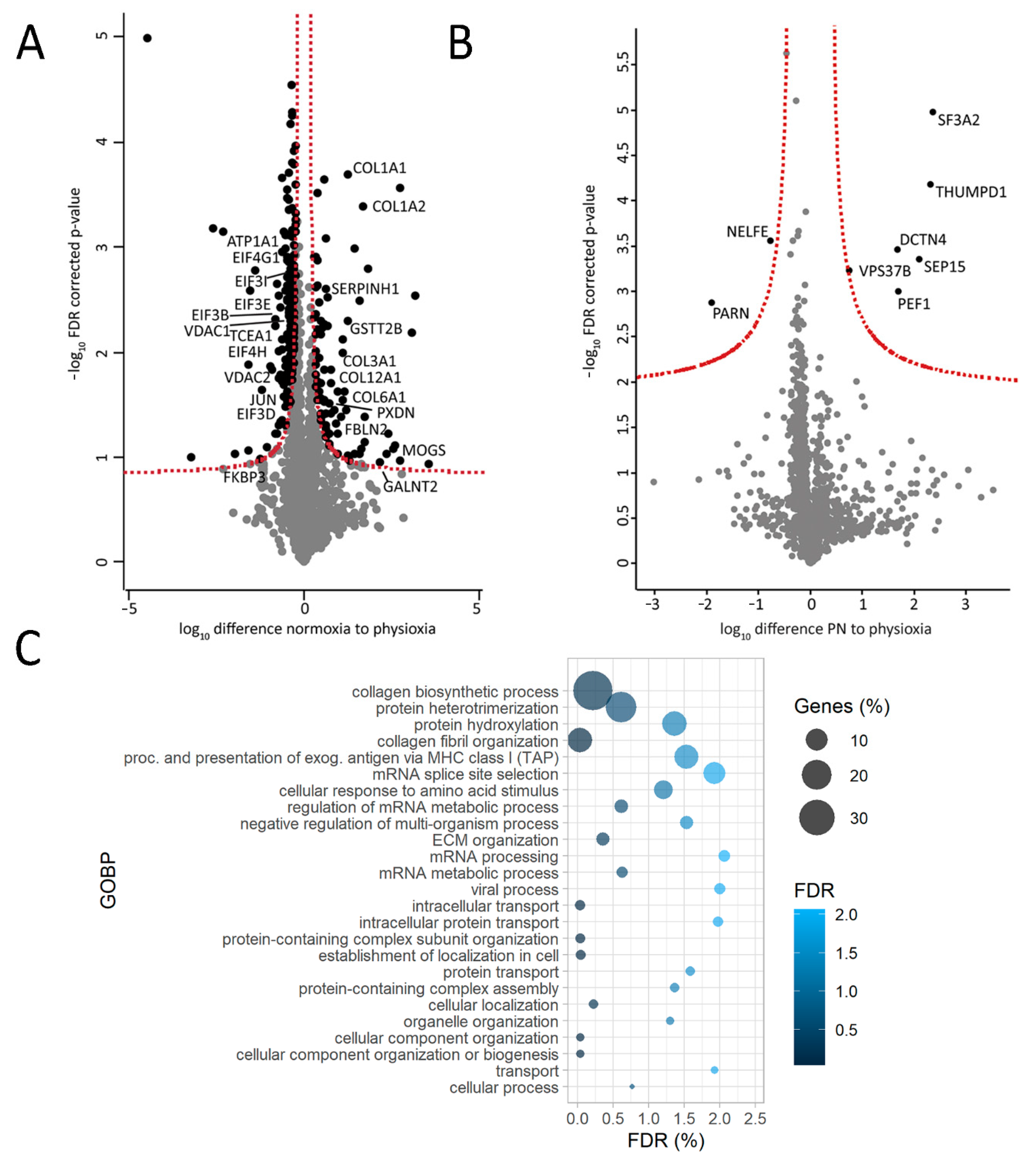 Ijms 22 01787 g005 Ijms 22 01787 g005